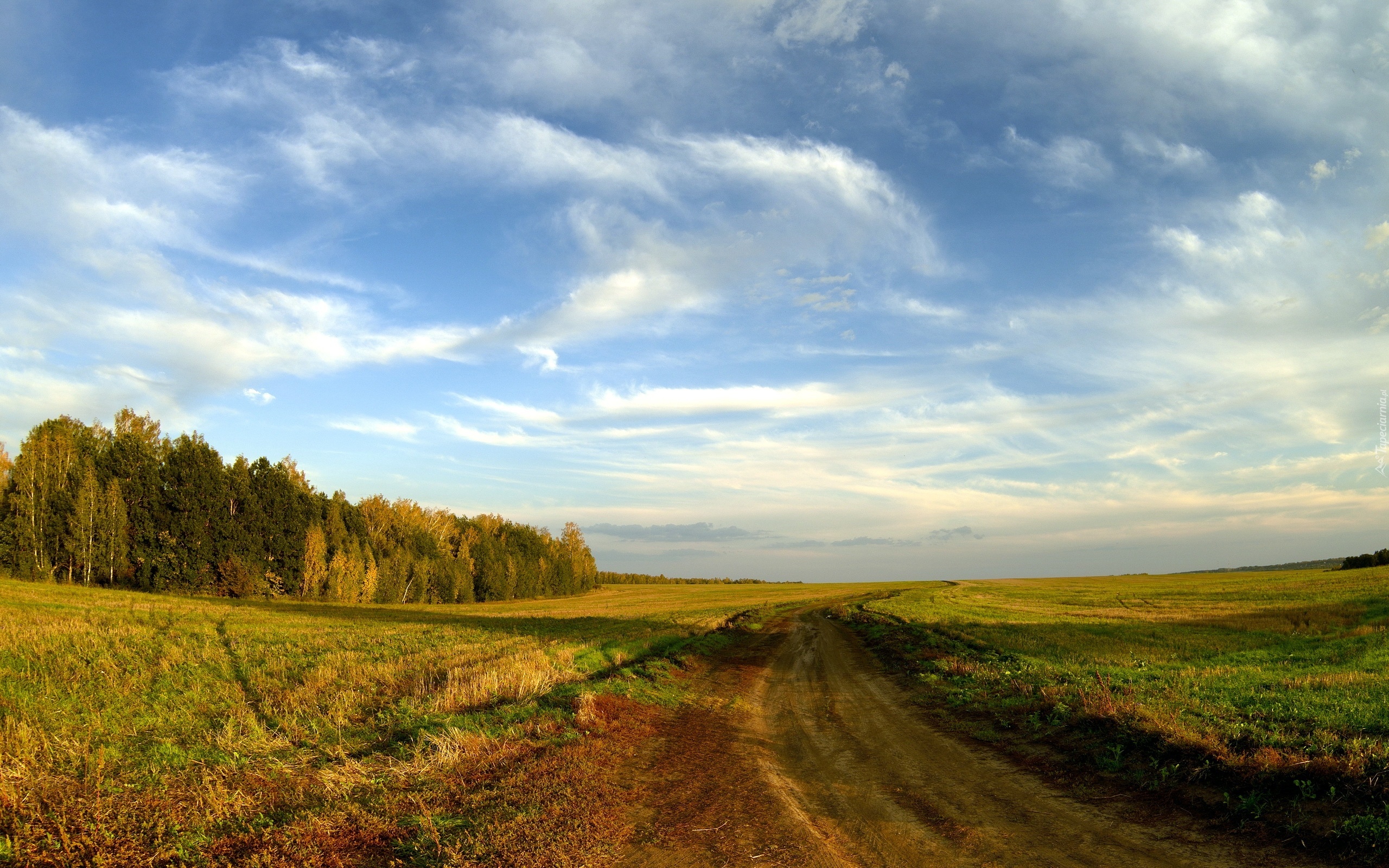 Pole, Dróżka, Drzewa, Trawa, Niebo