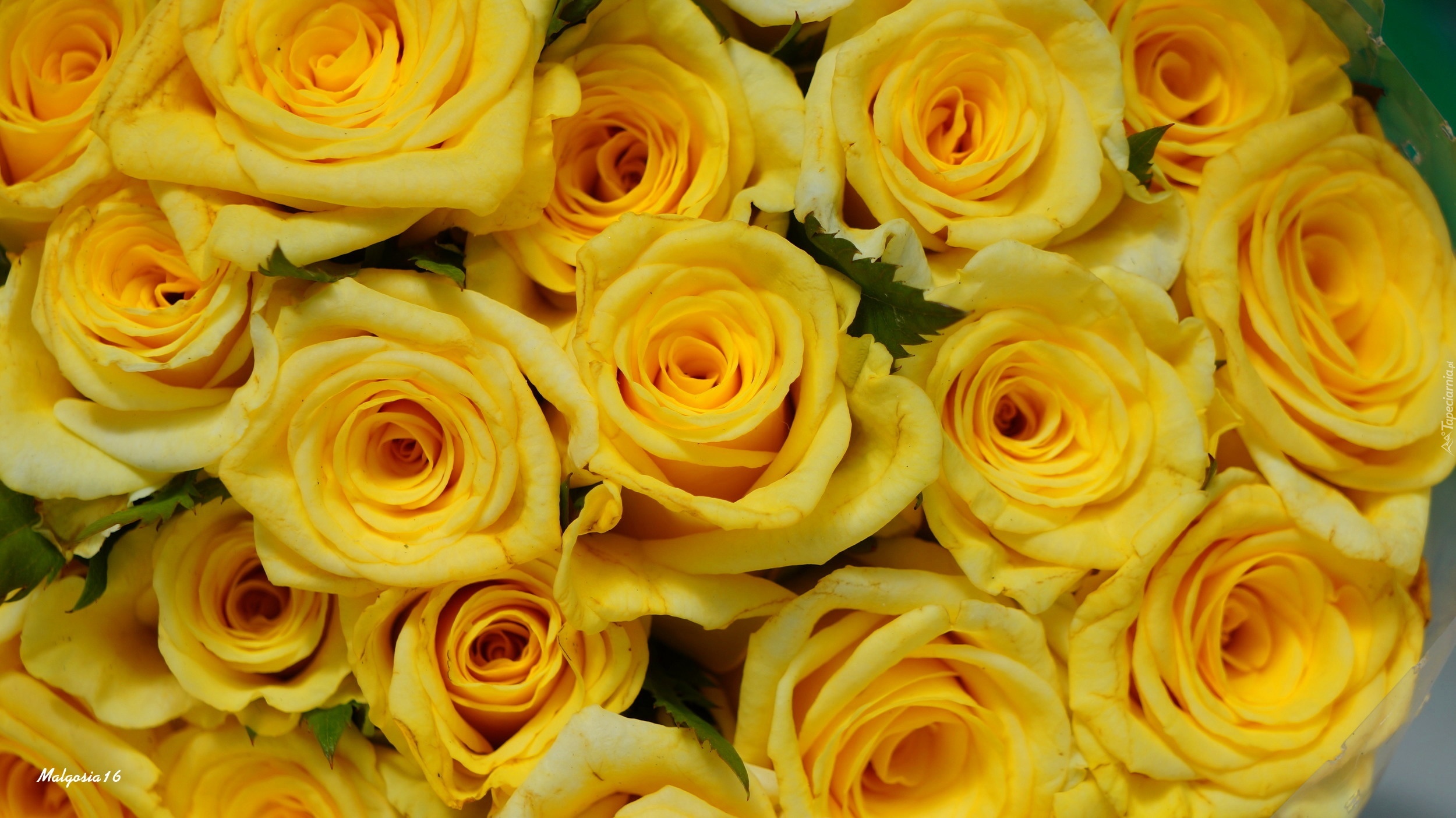 Żółte, Róże, Bukiet