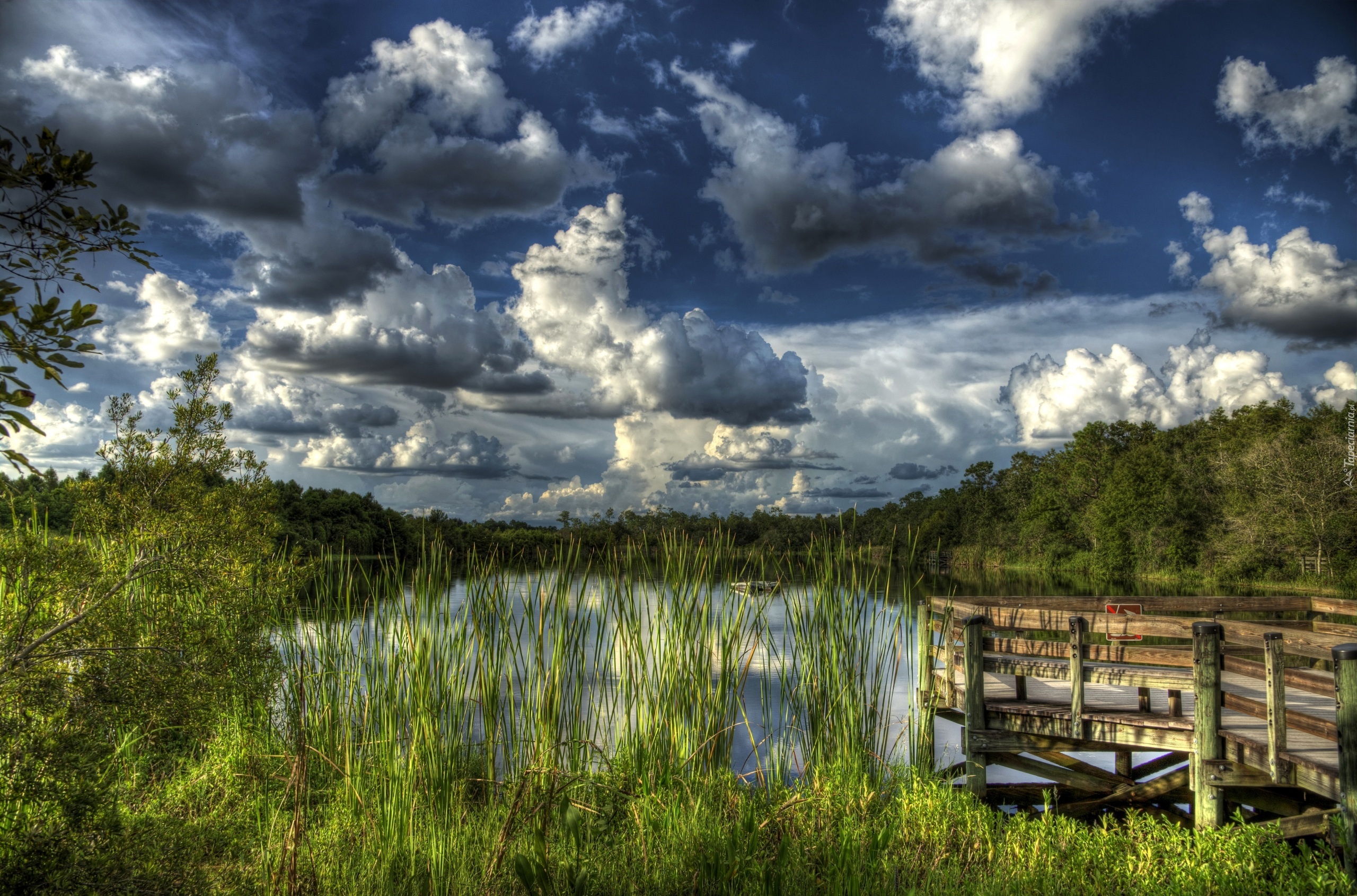 Jezioro, Zachmurzone, Niebo, Pomost, Roślinność, HDR