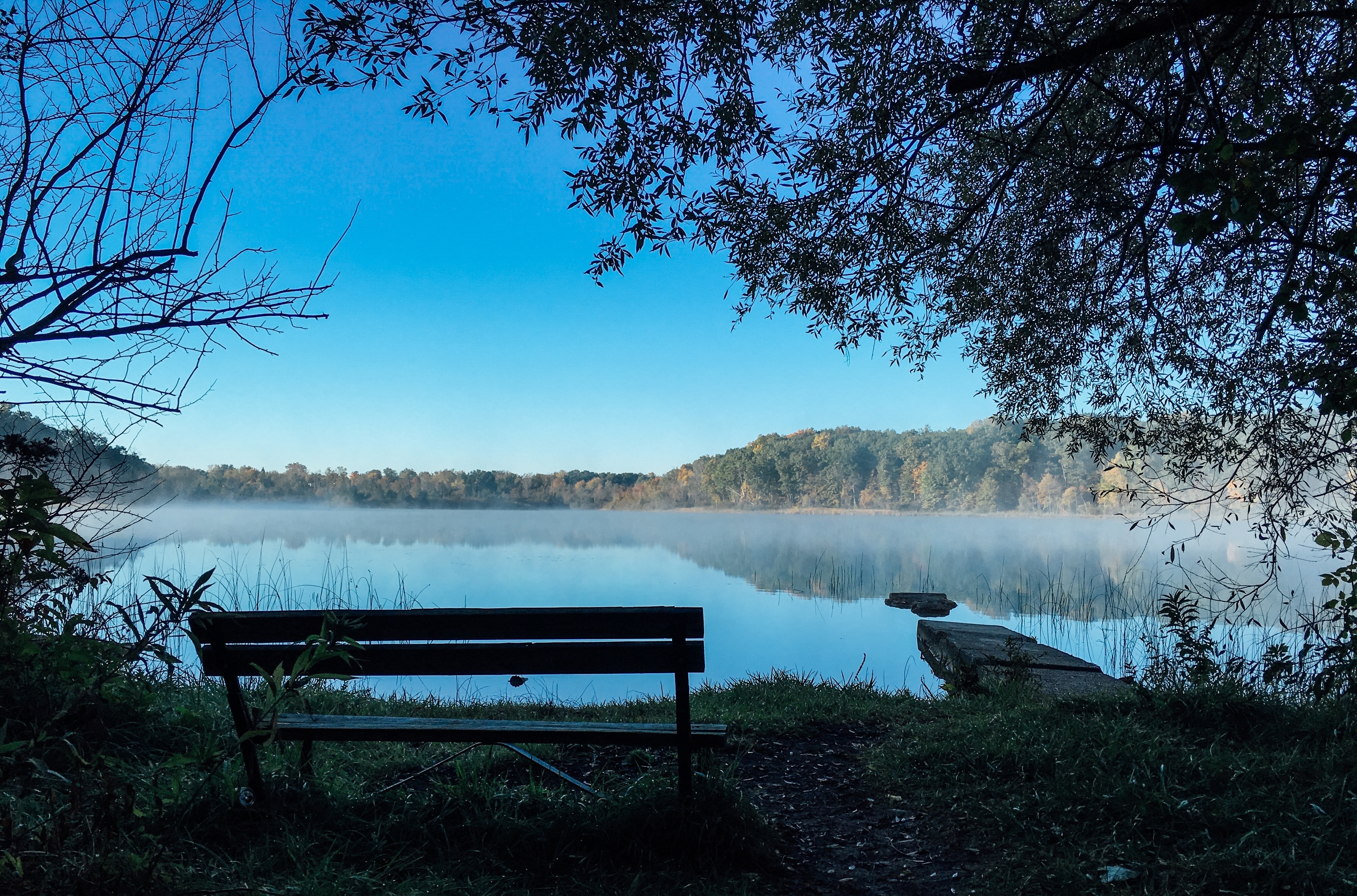 Zachód, Słońca, Jezioro, Ławka, Mgła, Drzewa