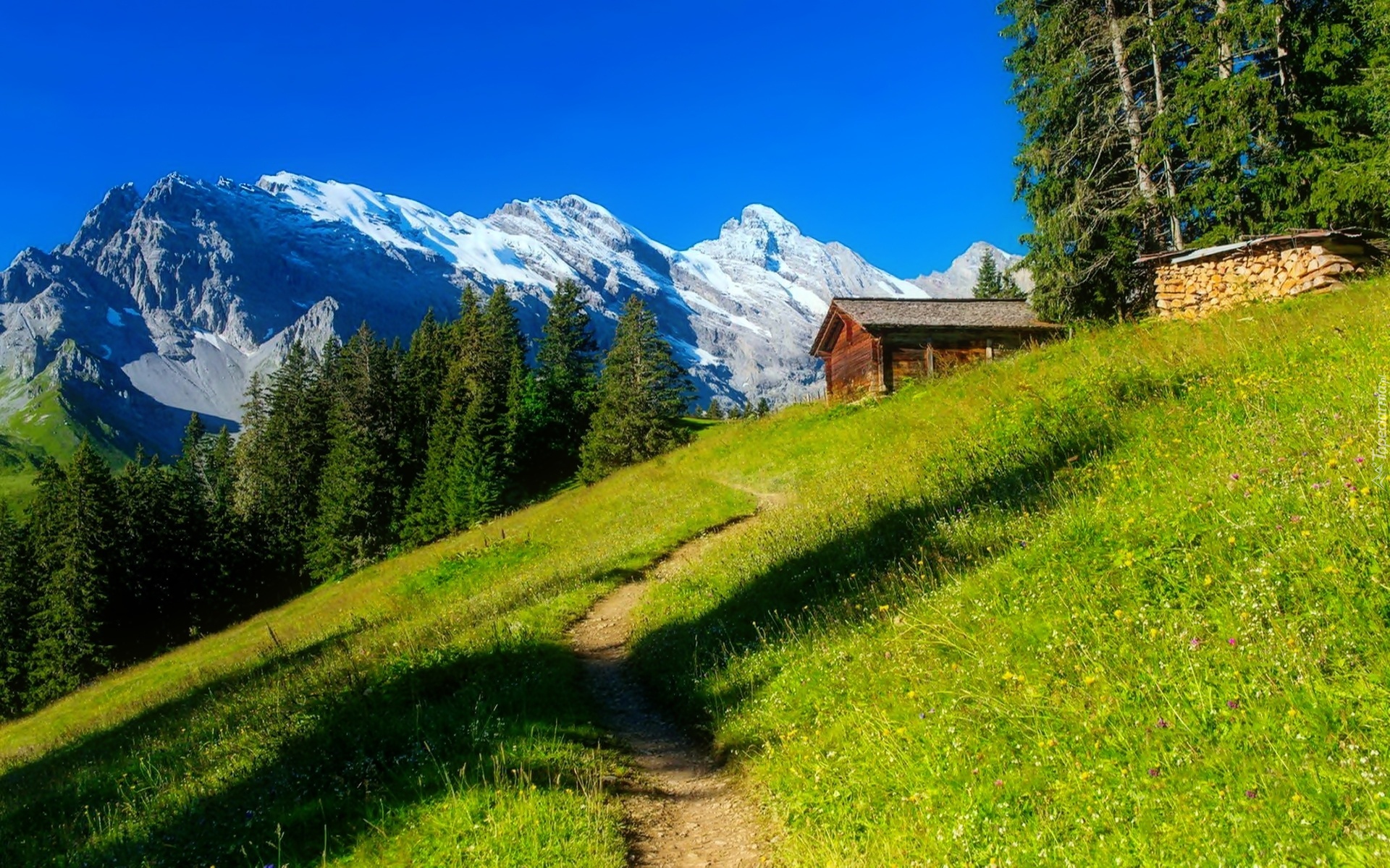 Góry, Alpy Berneńskie, Wengen, Dom, Las, Ścieżka, Szwajcaria