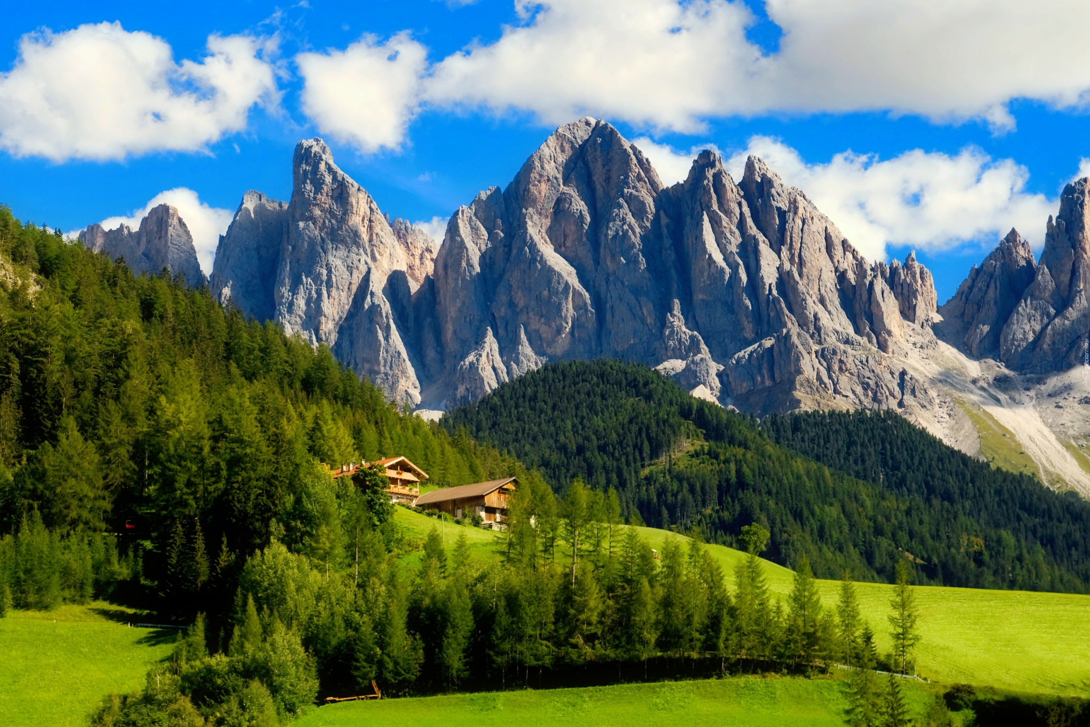 Południowy, Tyrol, Domy, Łąki, Lasy, Alpy, Włochy