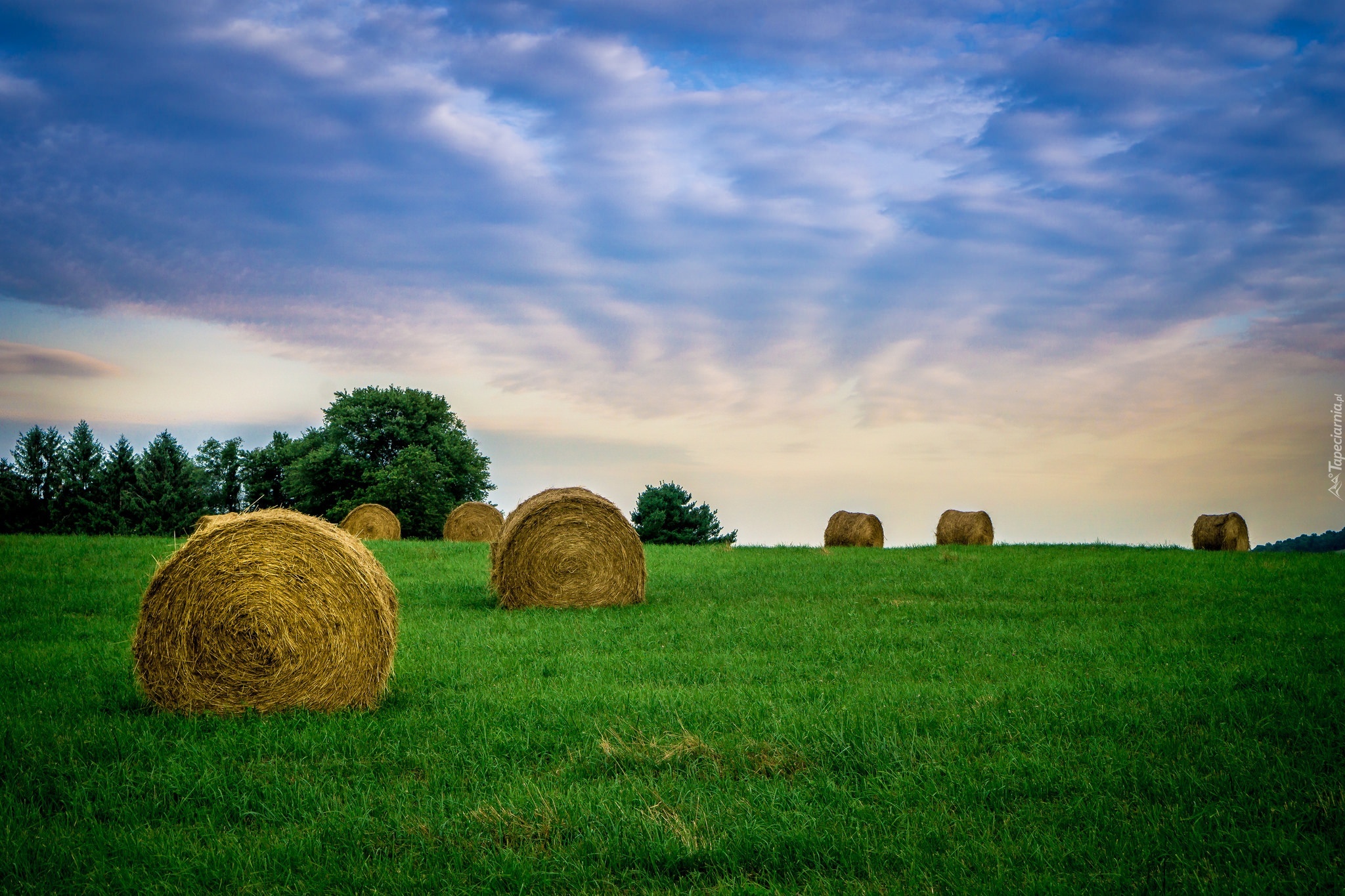 Farm grass. Сенокос в Тоскане. Луга пастбища сенокосы. Стог сена сенокос фон. Поле пшеницы деревня стог сена.