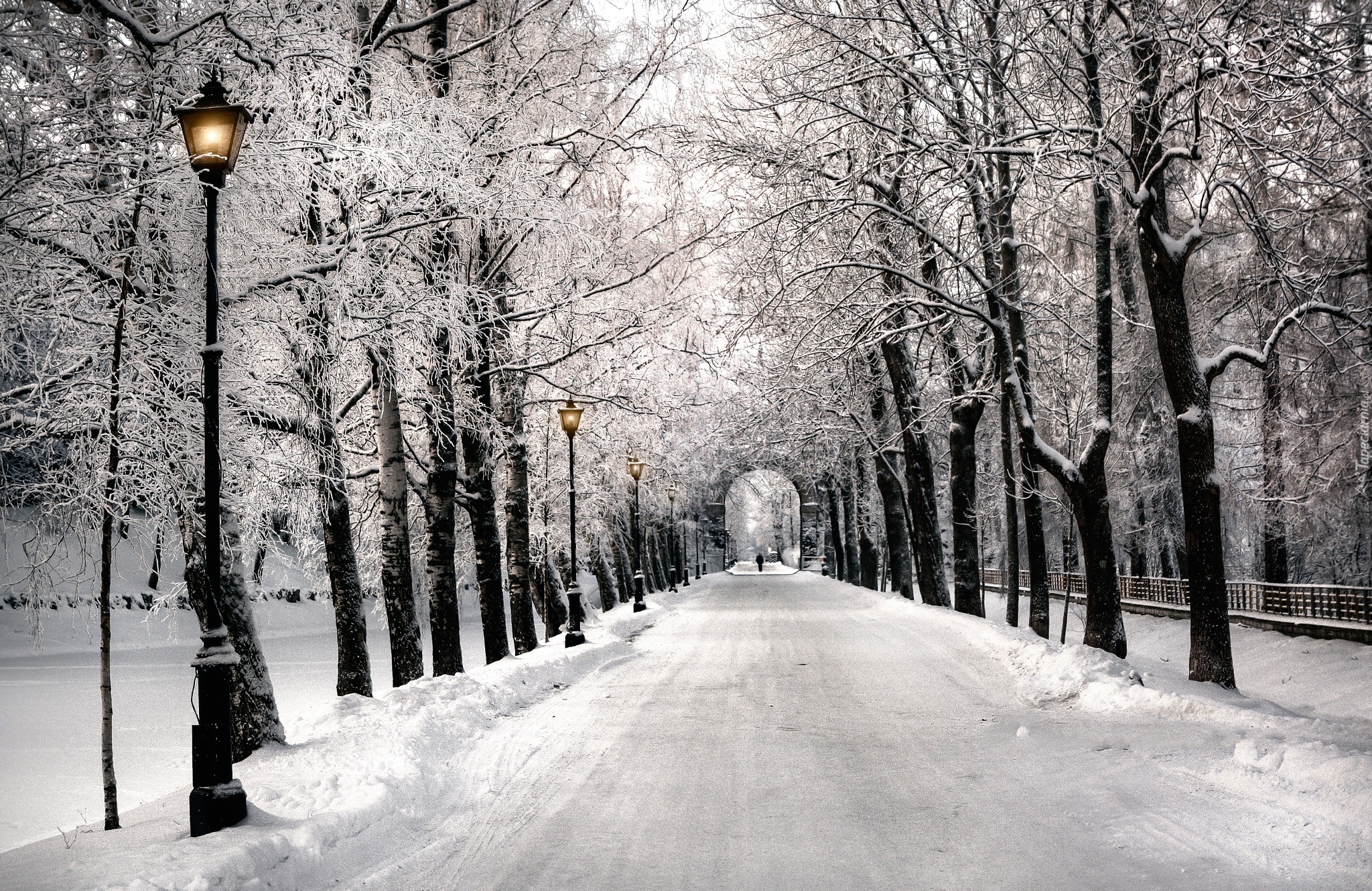 Park, Alejka, Latarnie, Śnieg