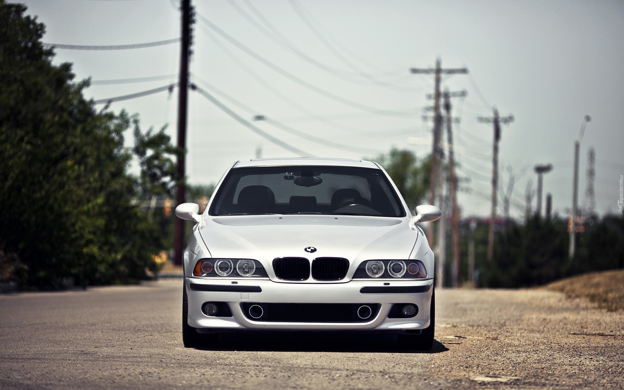 BMW, M5, E39, Samochód