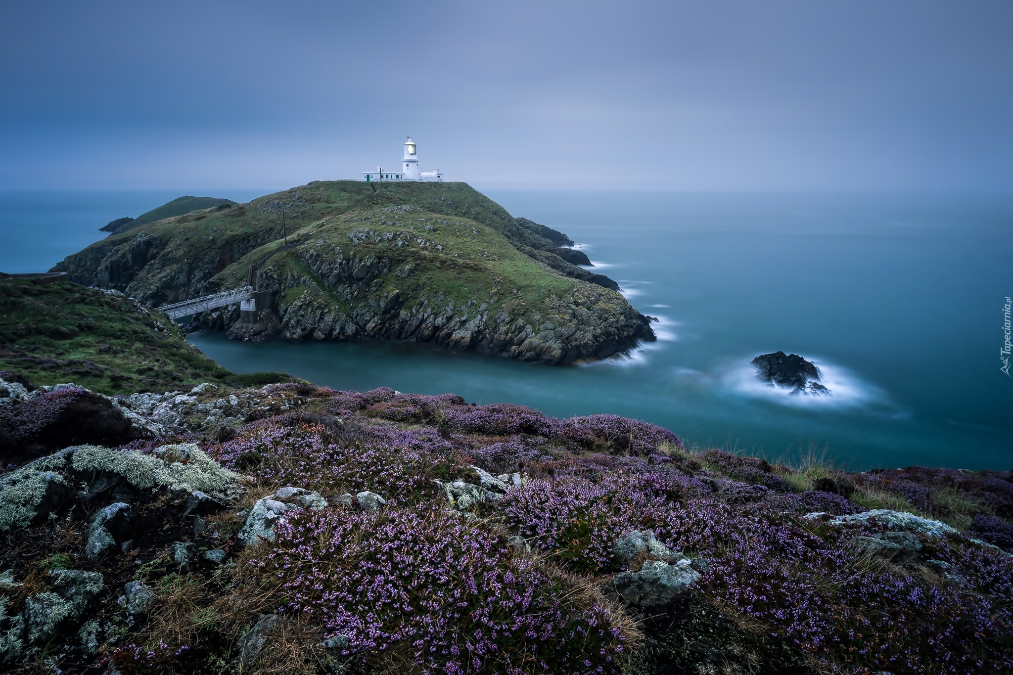 Park, Narodowy, Pembrokeshire Coast, Wybrzeże, Latarnia, Morska, Wrzosy, Walia, Wielka, Brytania