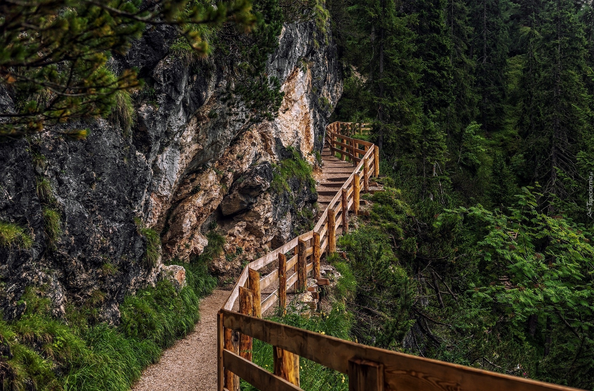 Szlaki Turystyczne W Alpach Austriackich Góry, Drzewa, Szlak, Turystyczny