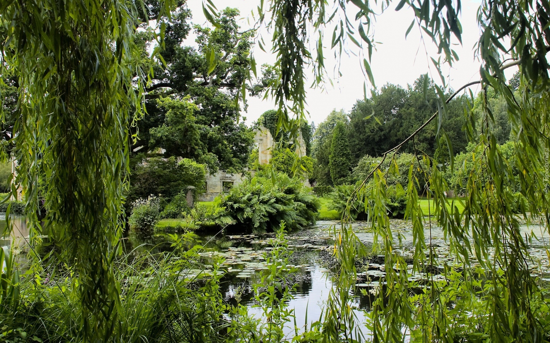 Staw, Park, Drzewa, Roślinność