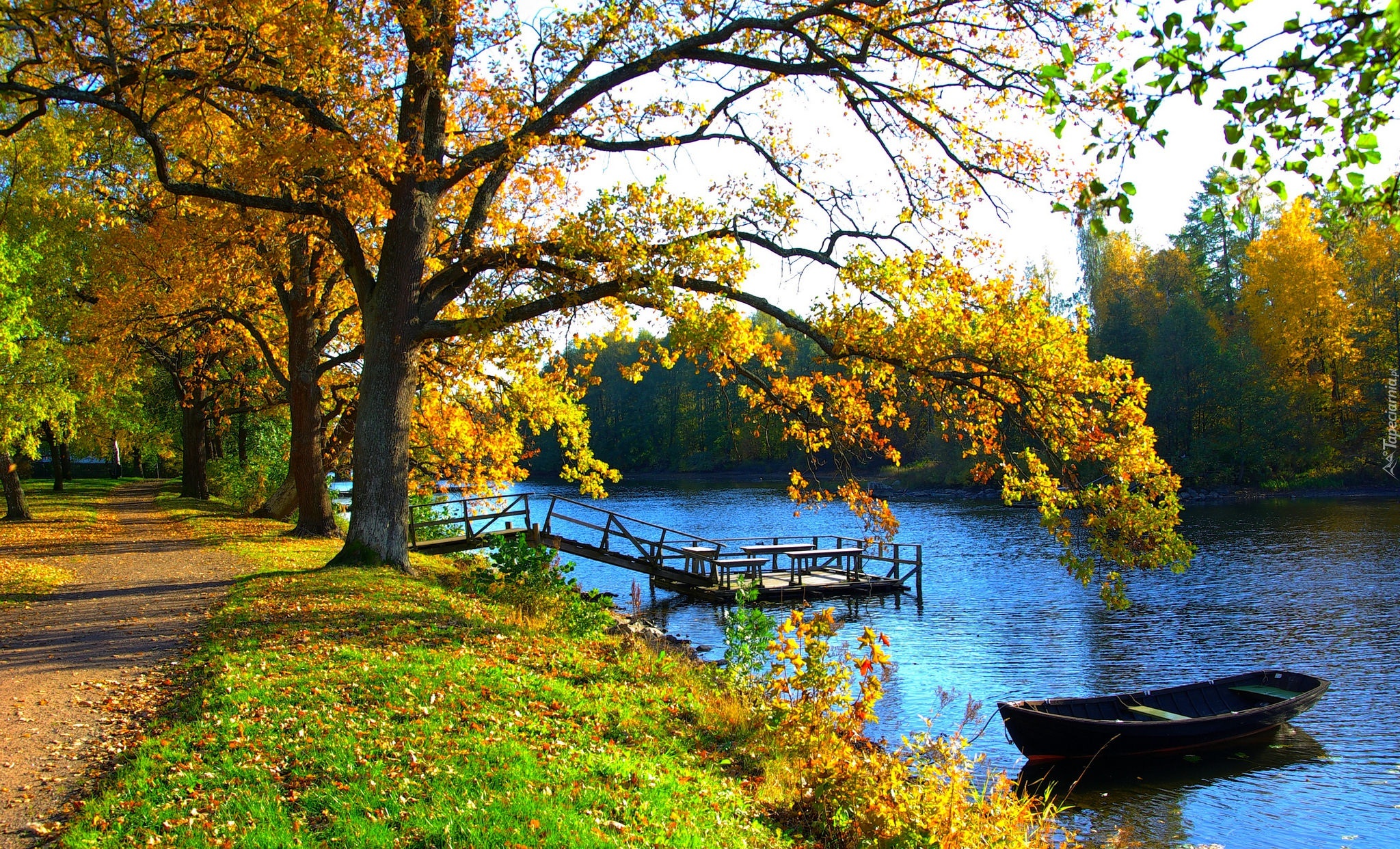 Łódka, Rzeka, Pomost, Park, Jesień