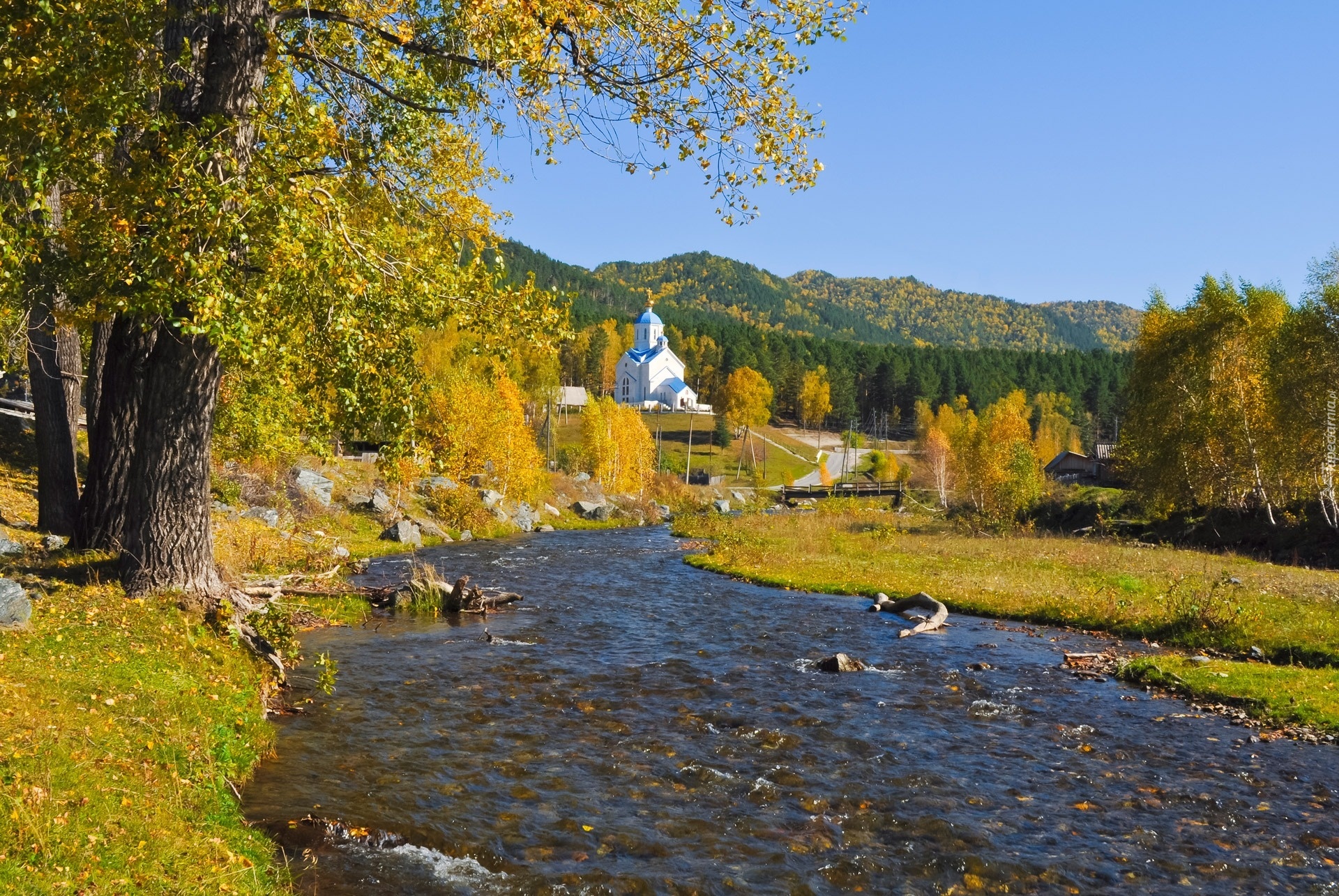 Rzeka, Las, Drzewa, Jesień, Kościół, Prawosławny