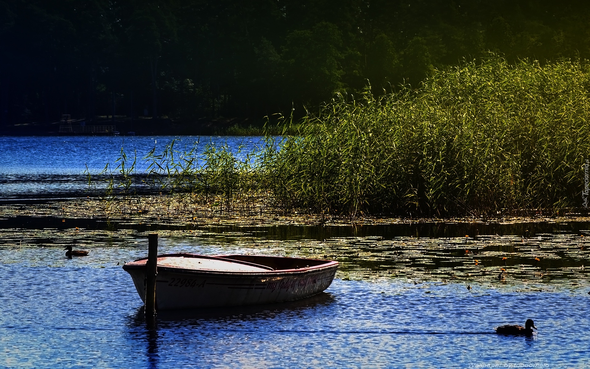 Jezioro, Gołdopiwo, Mazury