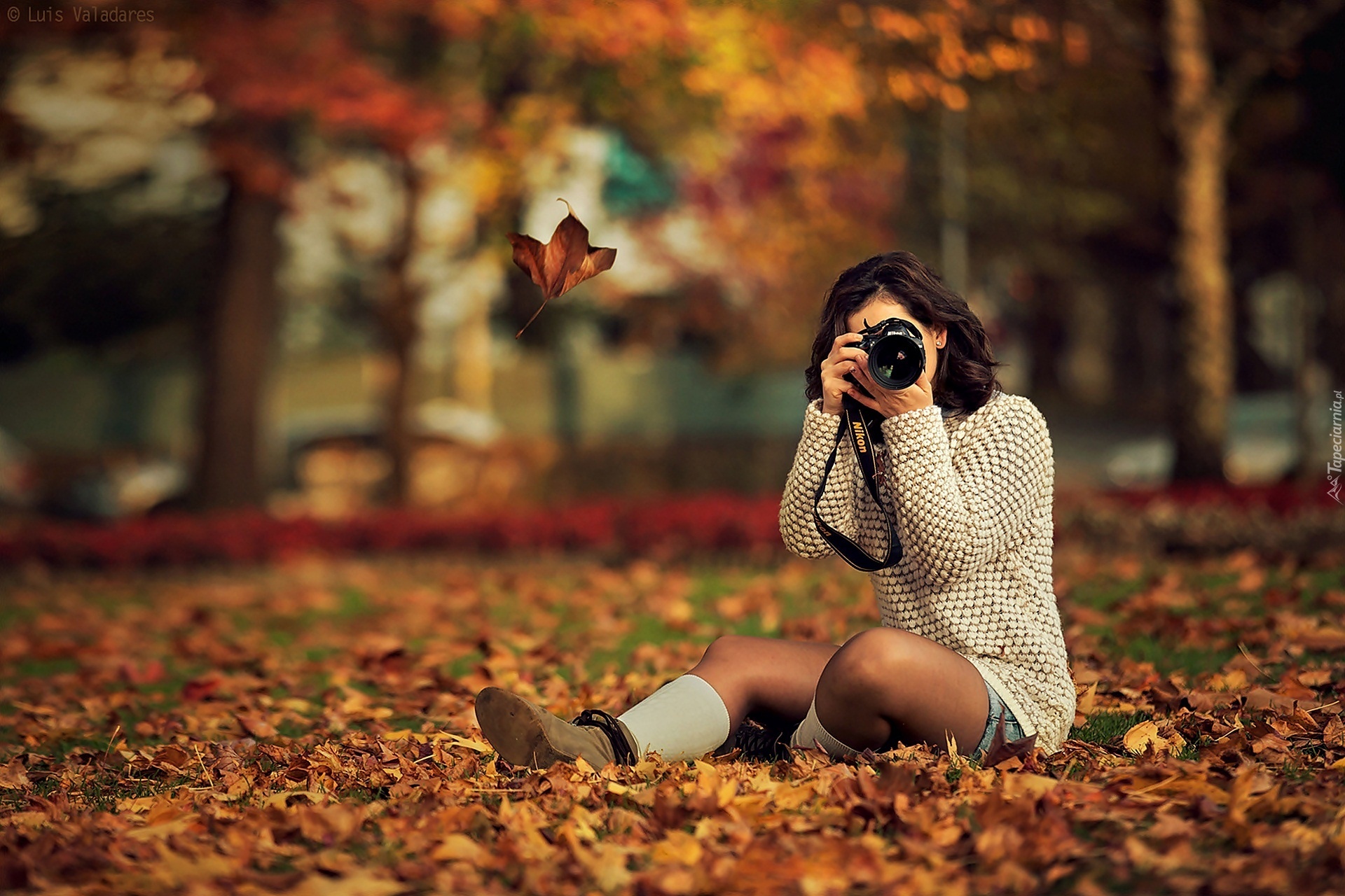 Kobieta, Aparat, Fotograficzny, Nikon