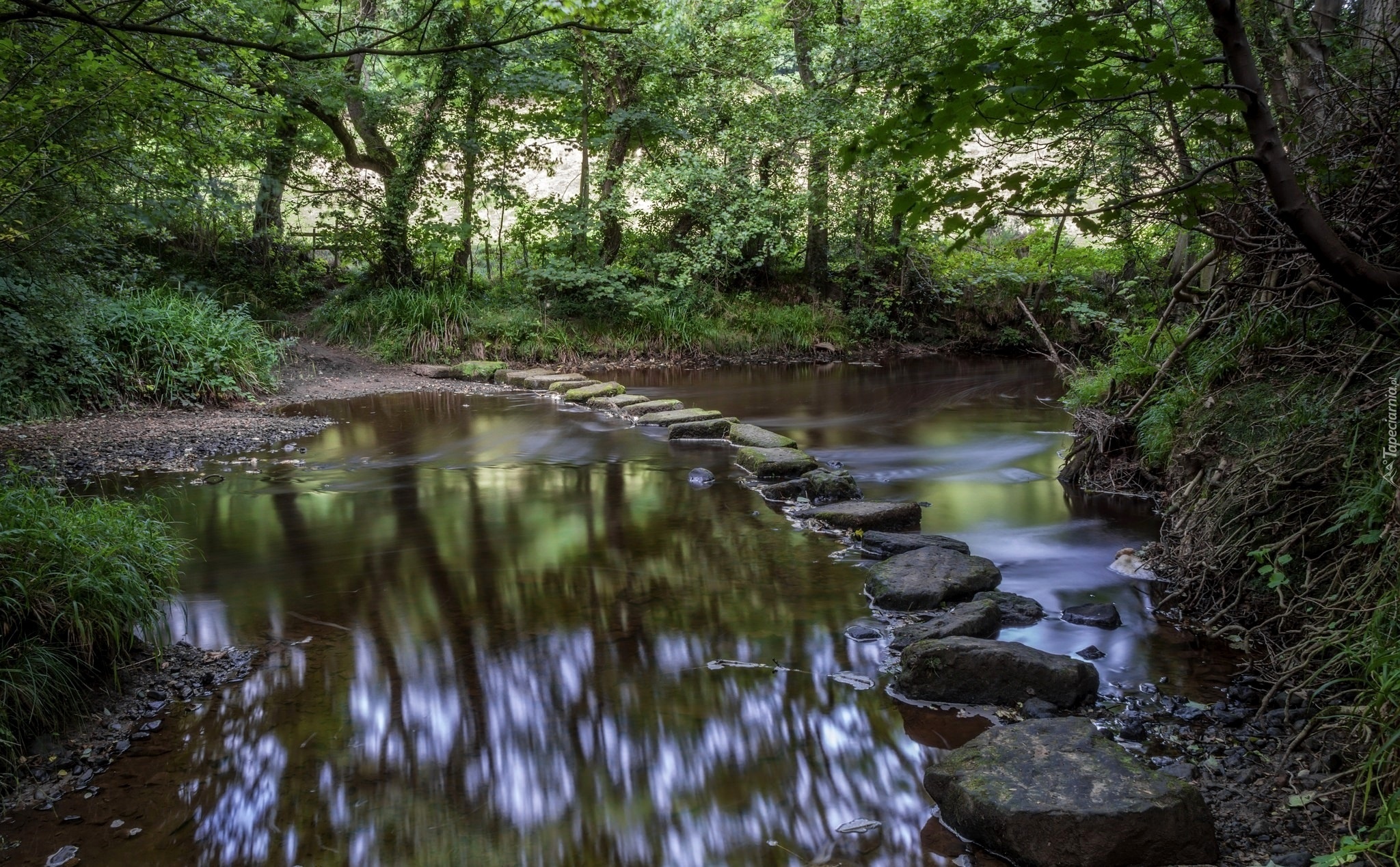 Las, Rzeczka, Kamienie