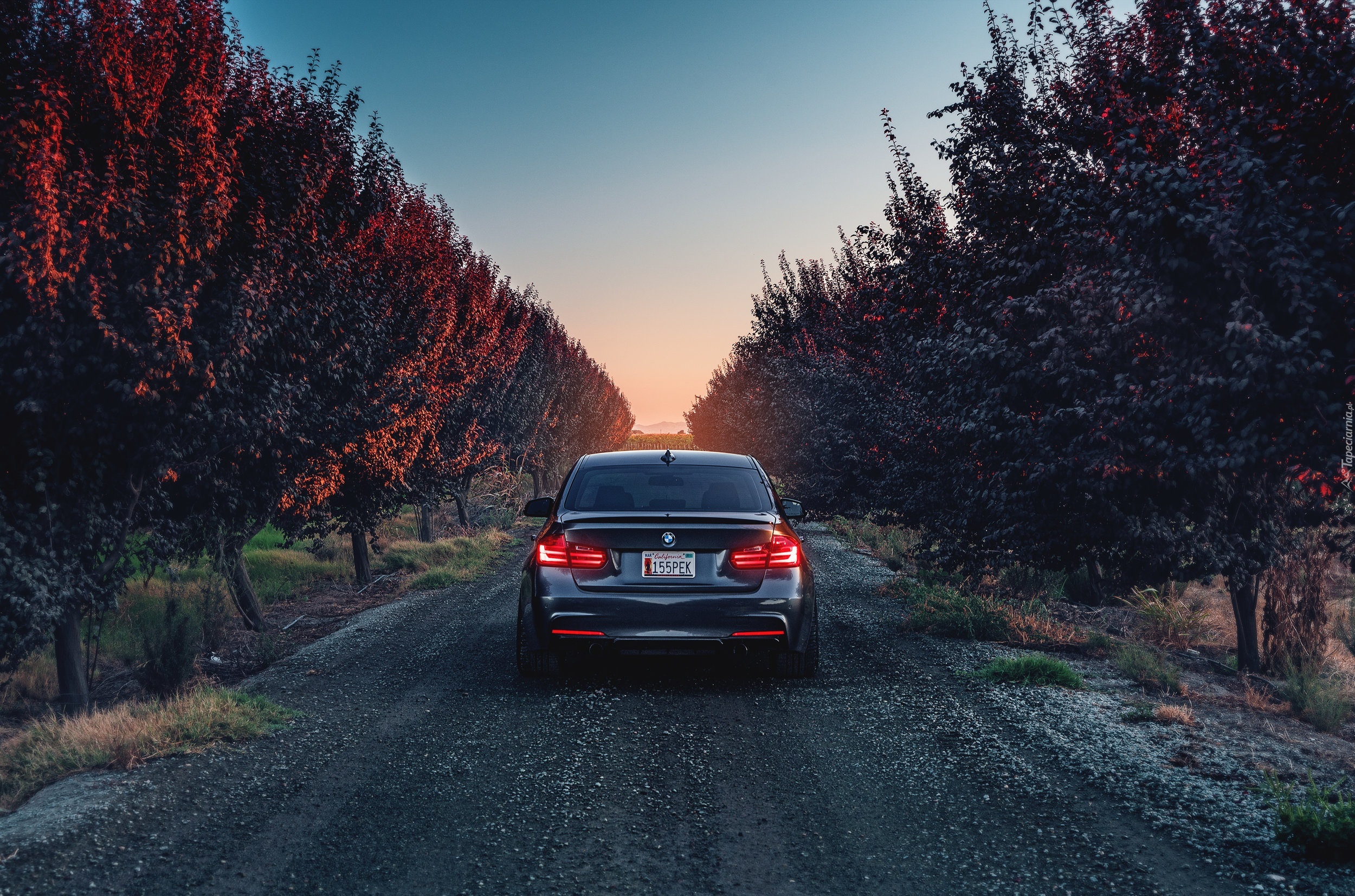 BMW F80, Sad