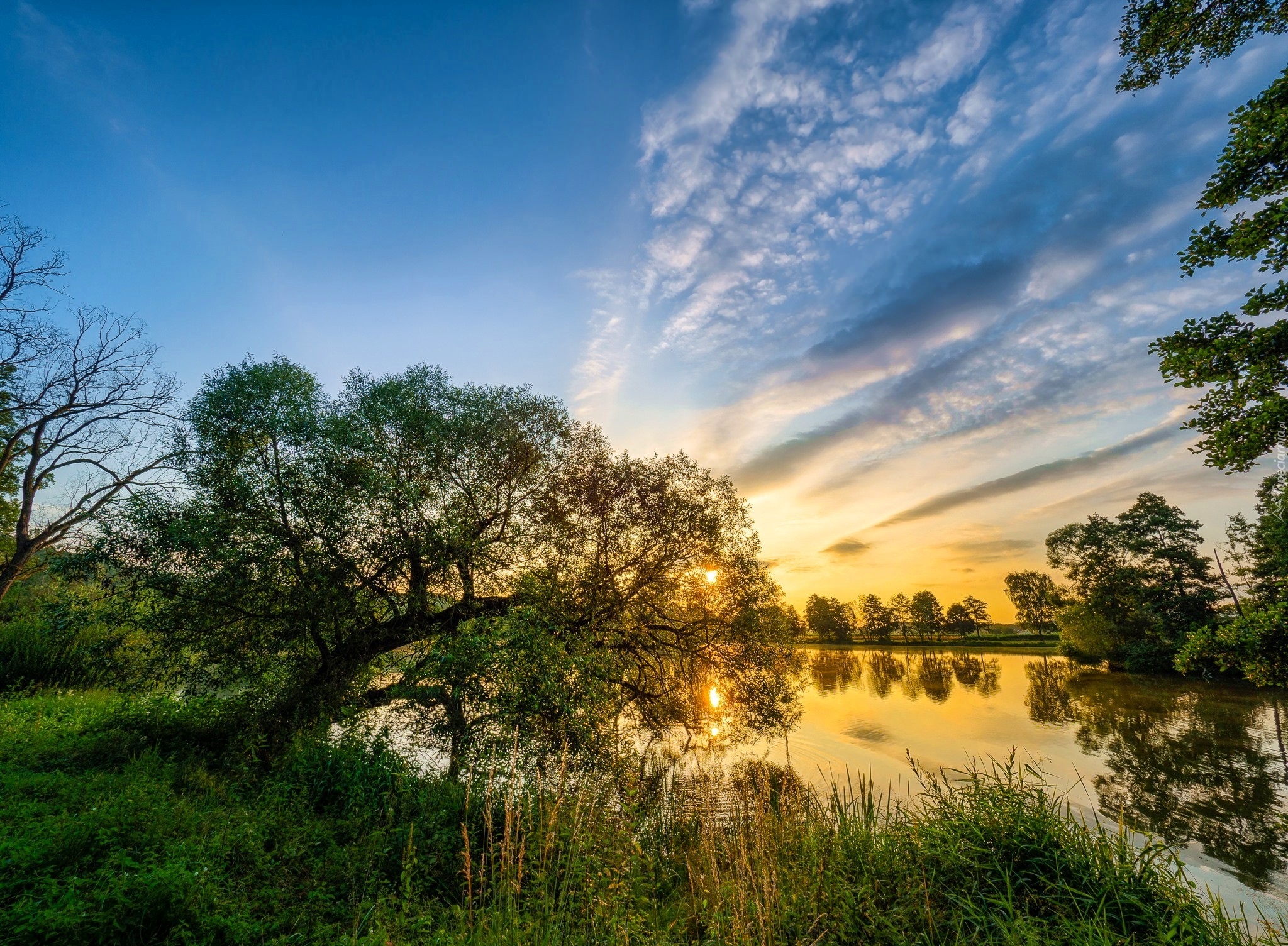 Jezioro, Drzewa, Trawy, Wschód, Słońca