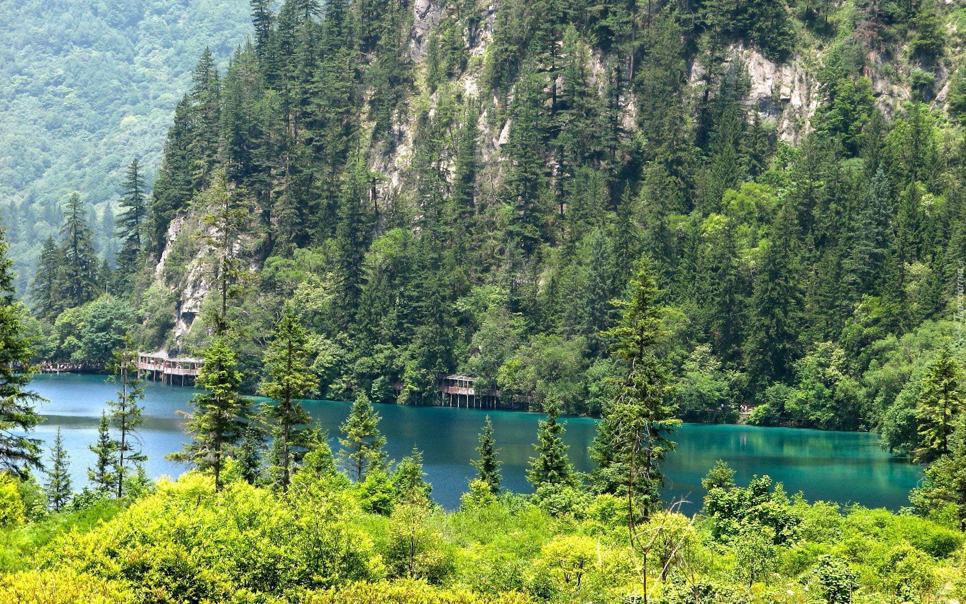 Góry, Drzewa, Jezioro