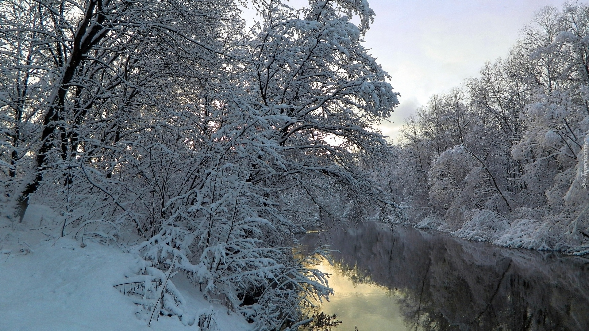 Rzeka, Drzewa, Śnieg