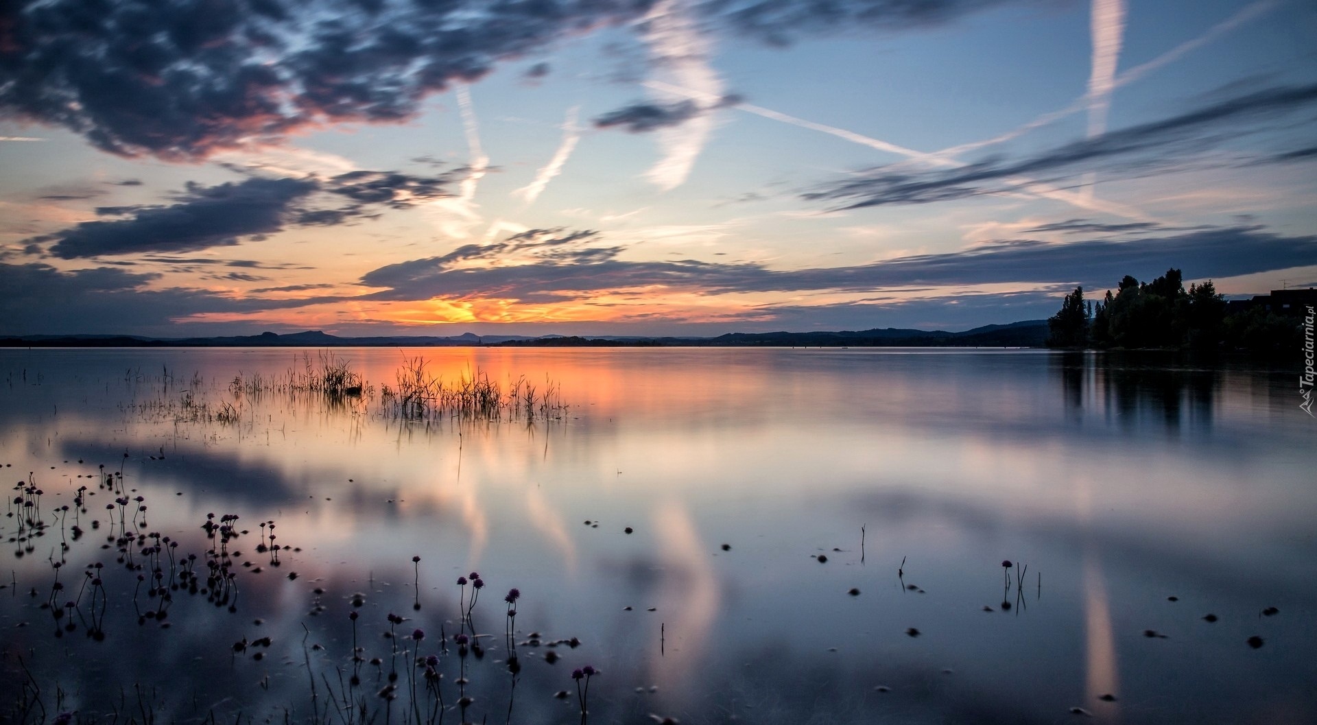 Jezioro, Niebo, Drzewa, Rośliny, Wschód, Słońca