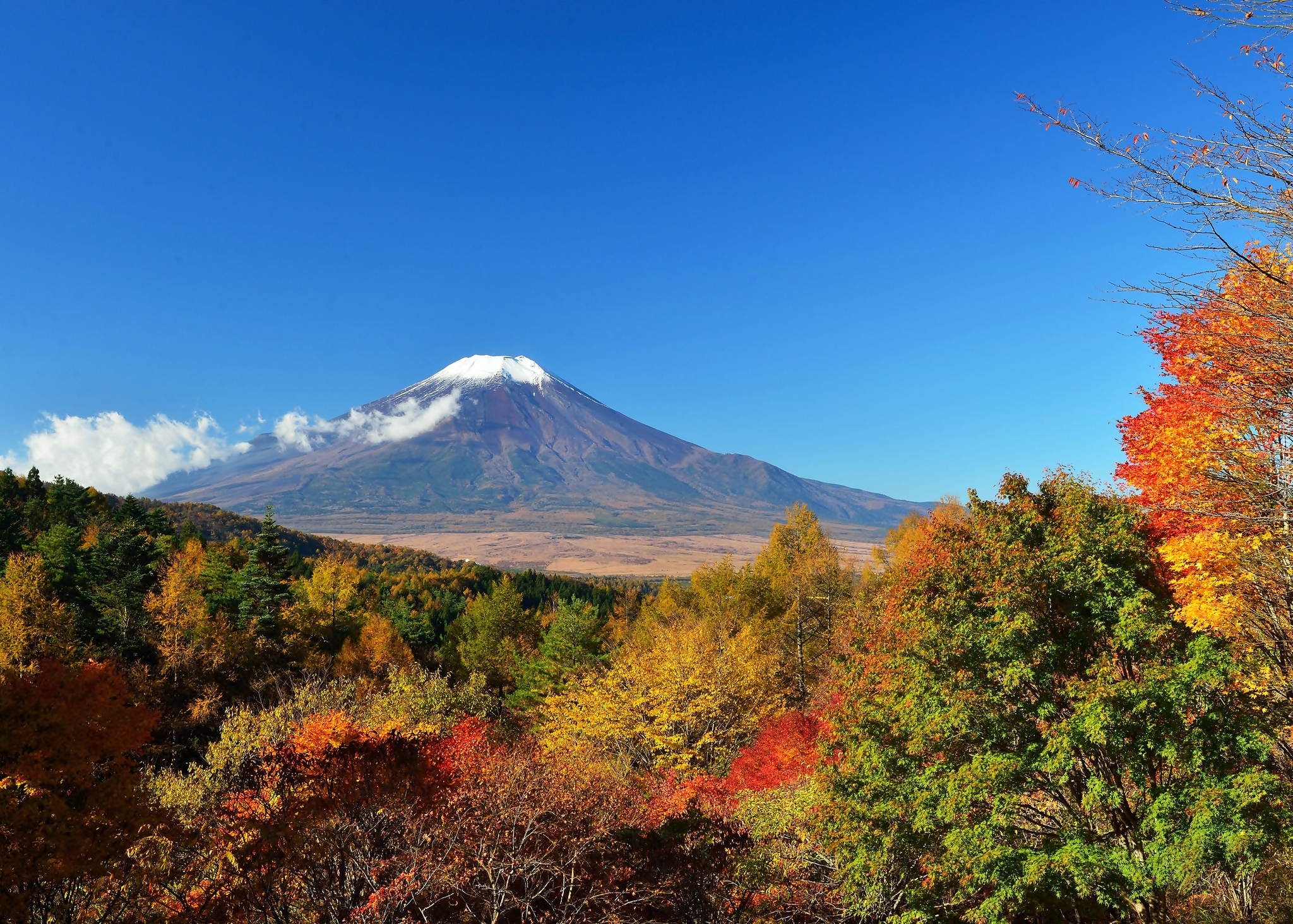 Góra, Fuji, Krzewy, Japonia, Wulkan