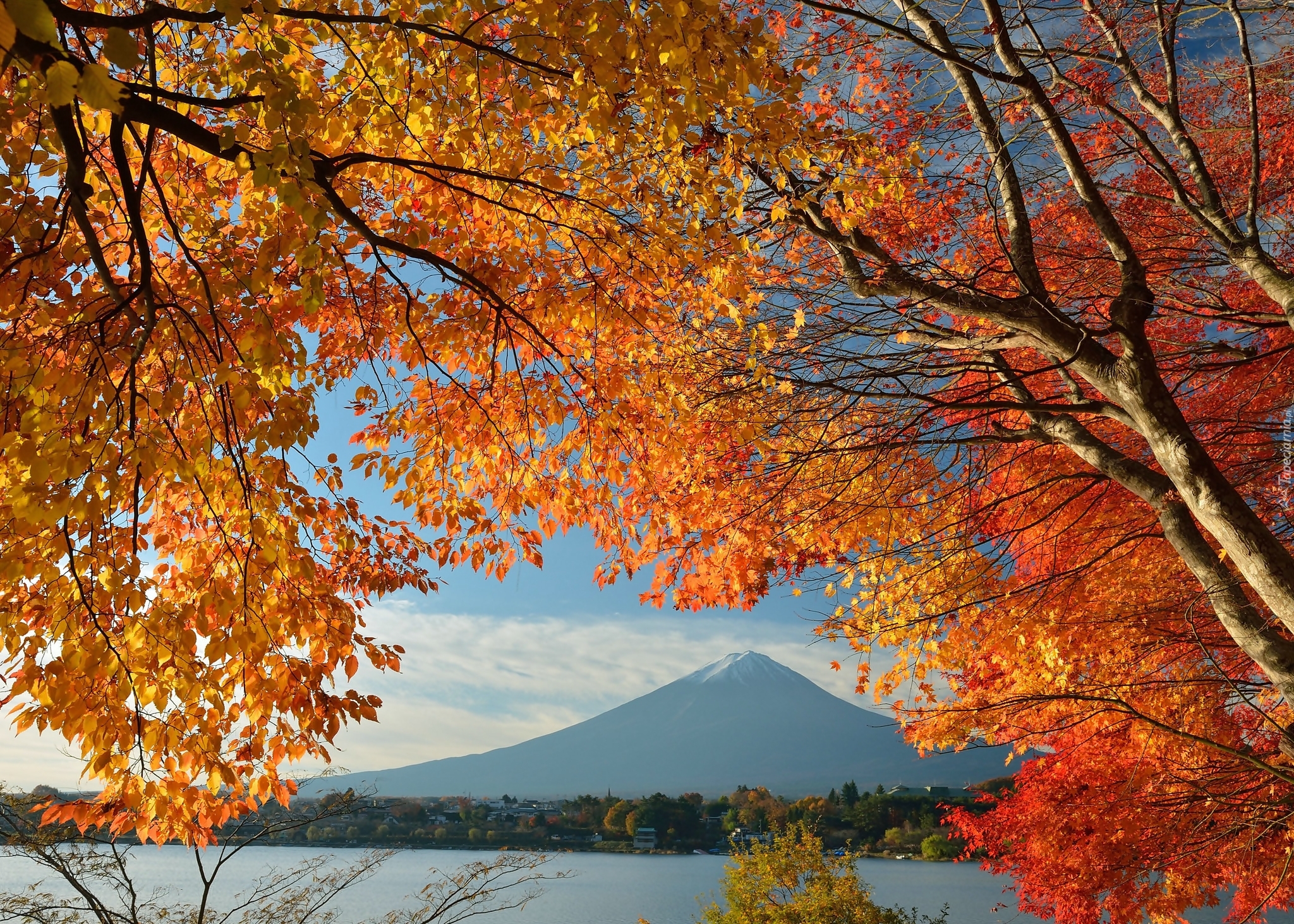 Góra, Fuji, Gałęzie, Japonia