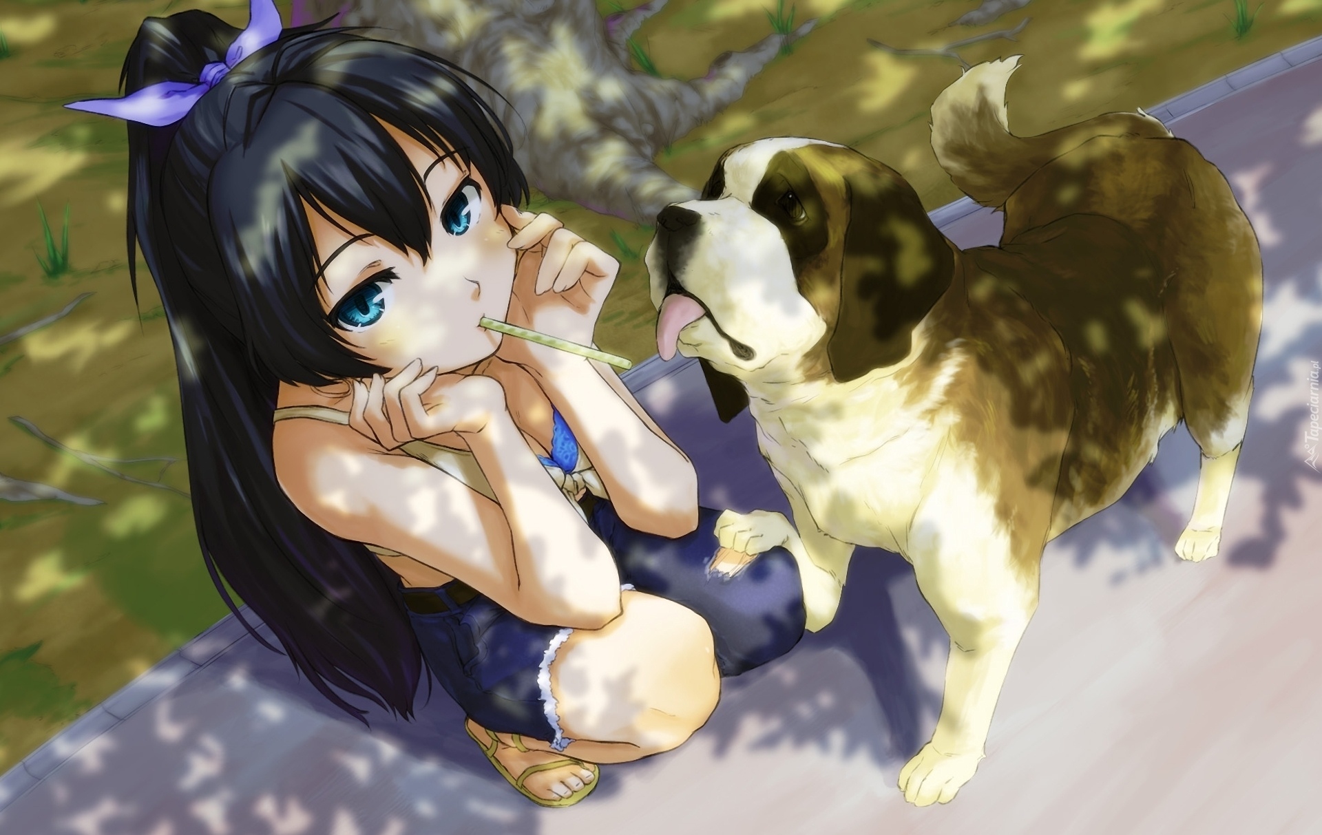Dziewczyna, Słomka, Pies, Park, Manga, Anime