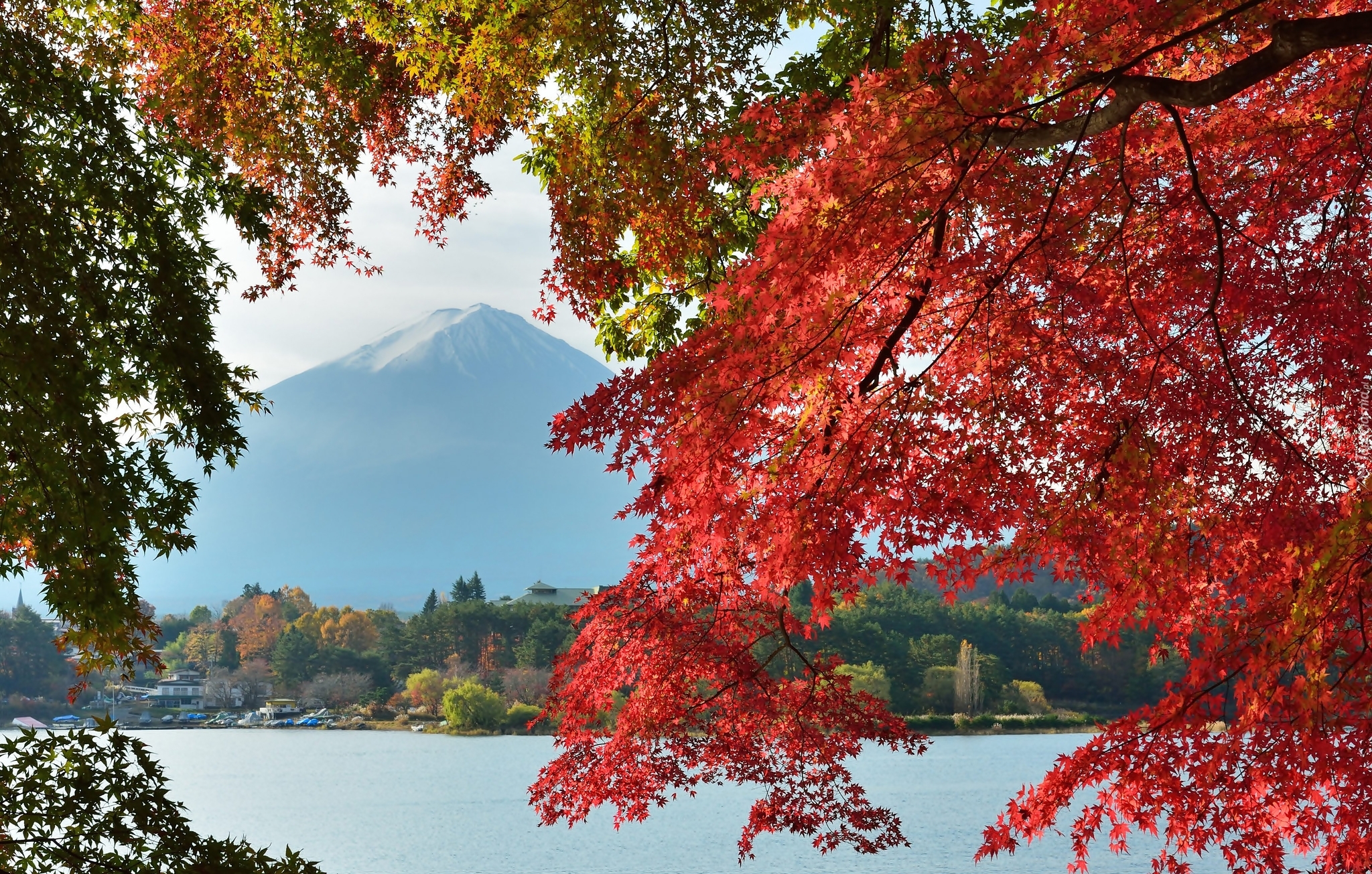 Góra, Fuji, Gałęzie, Japonia