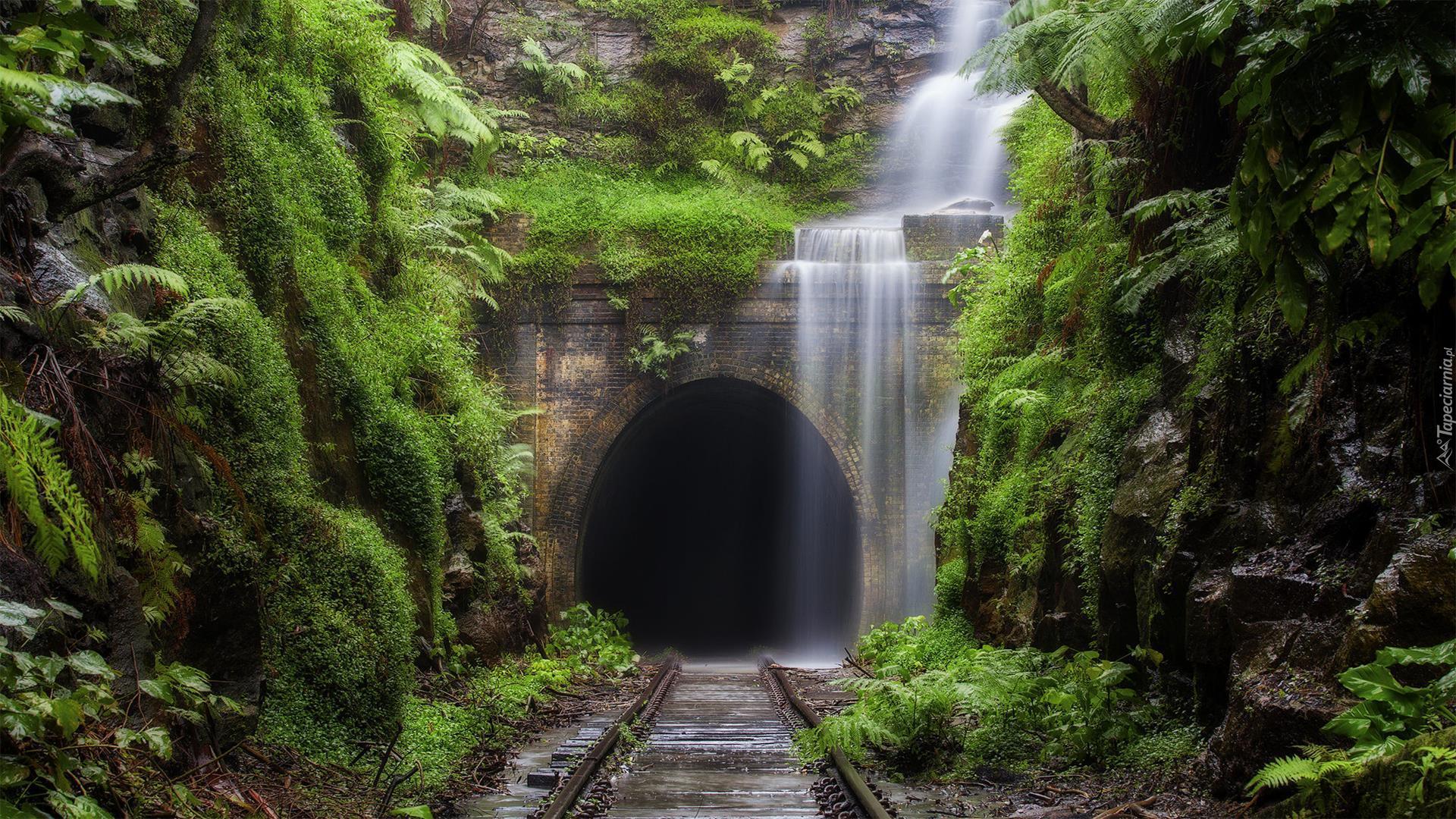 Tory, Tunel, Zieleń