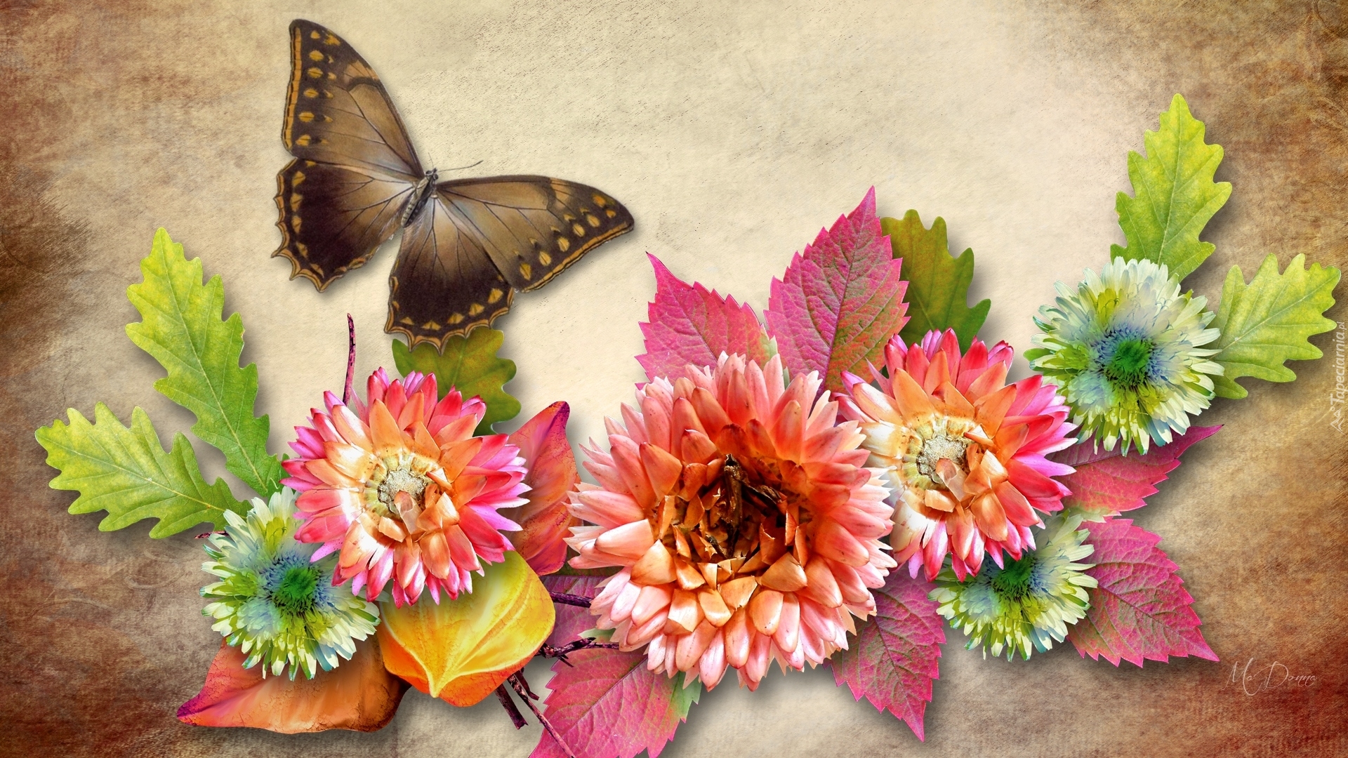 Grafika, Kwiaty, Liście, Motyl