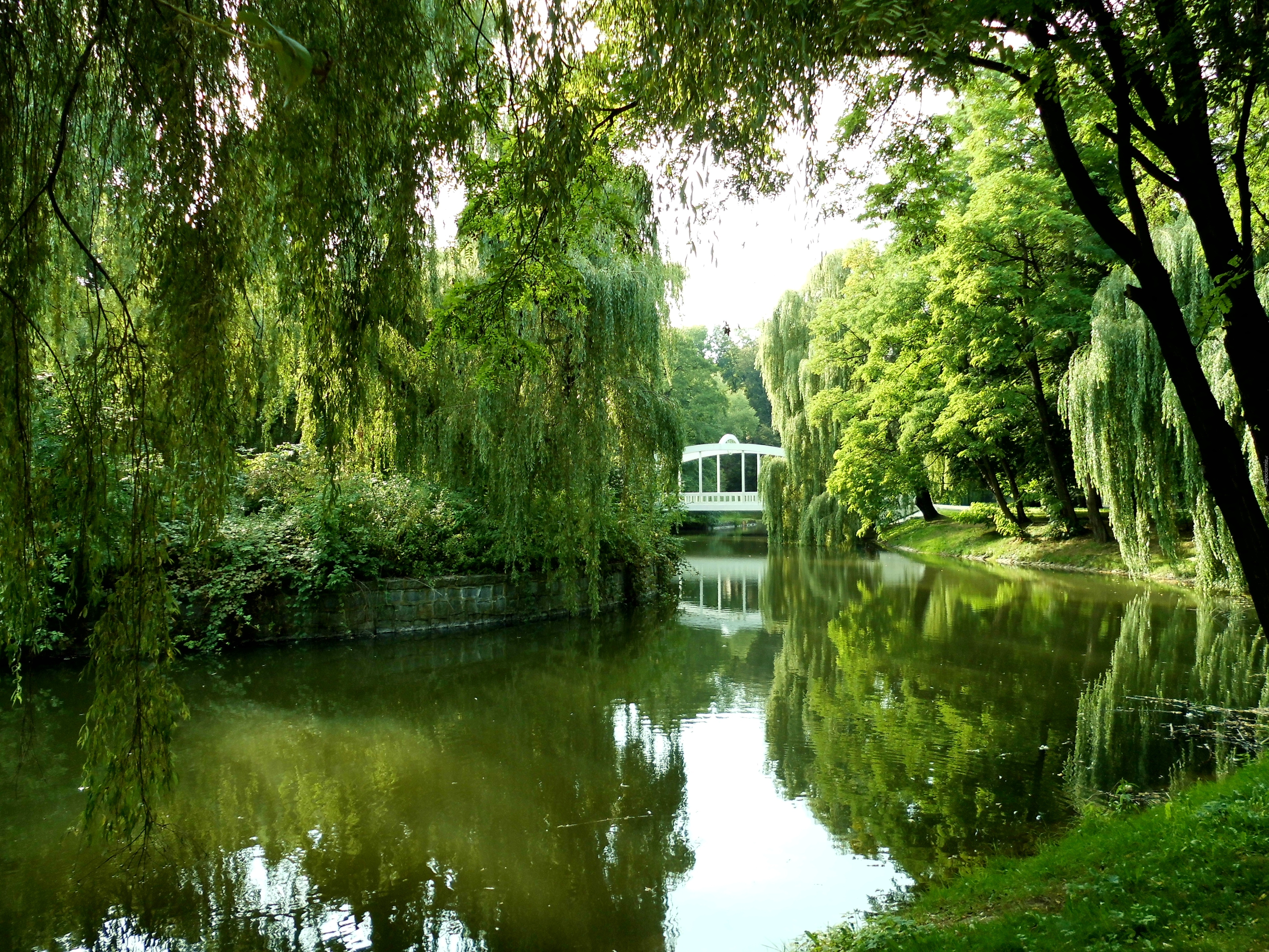 Park, Dolny Śląsk, Staw