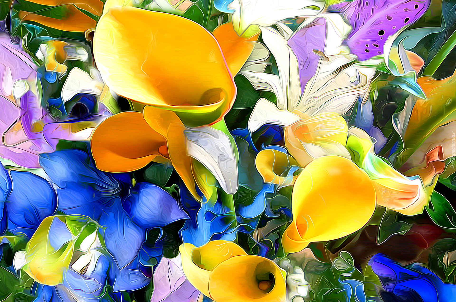 Grafika, Paintography, Kwiaty