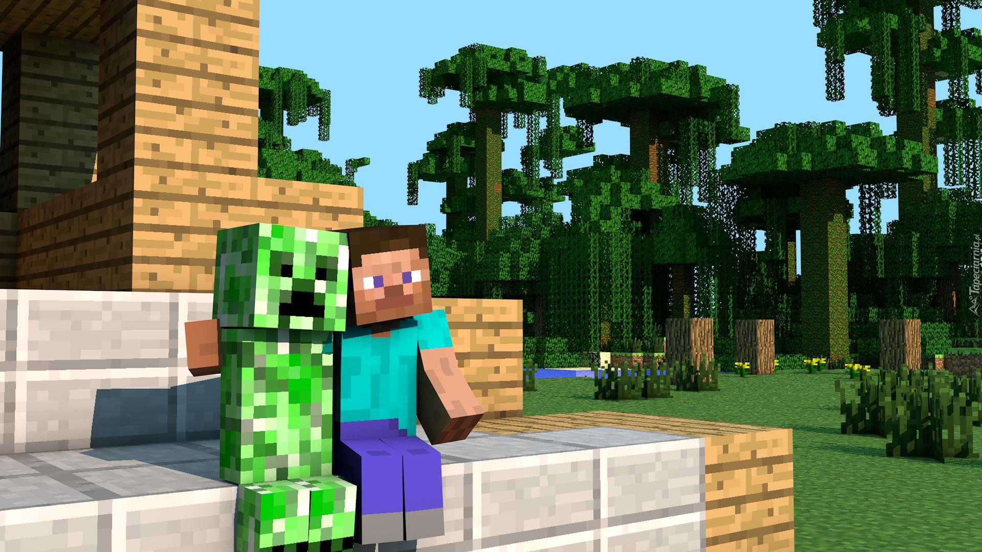 Gra, Minecraft