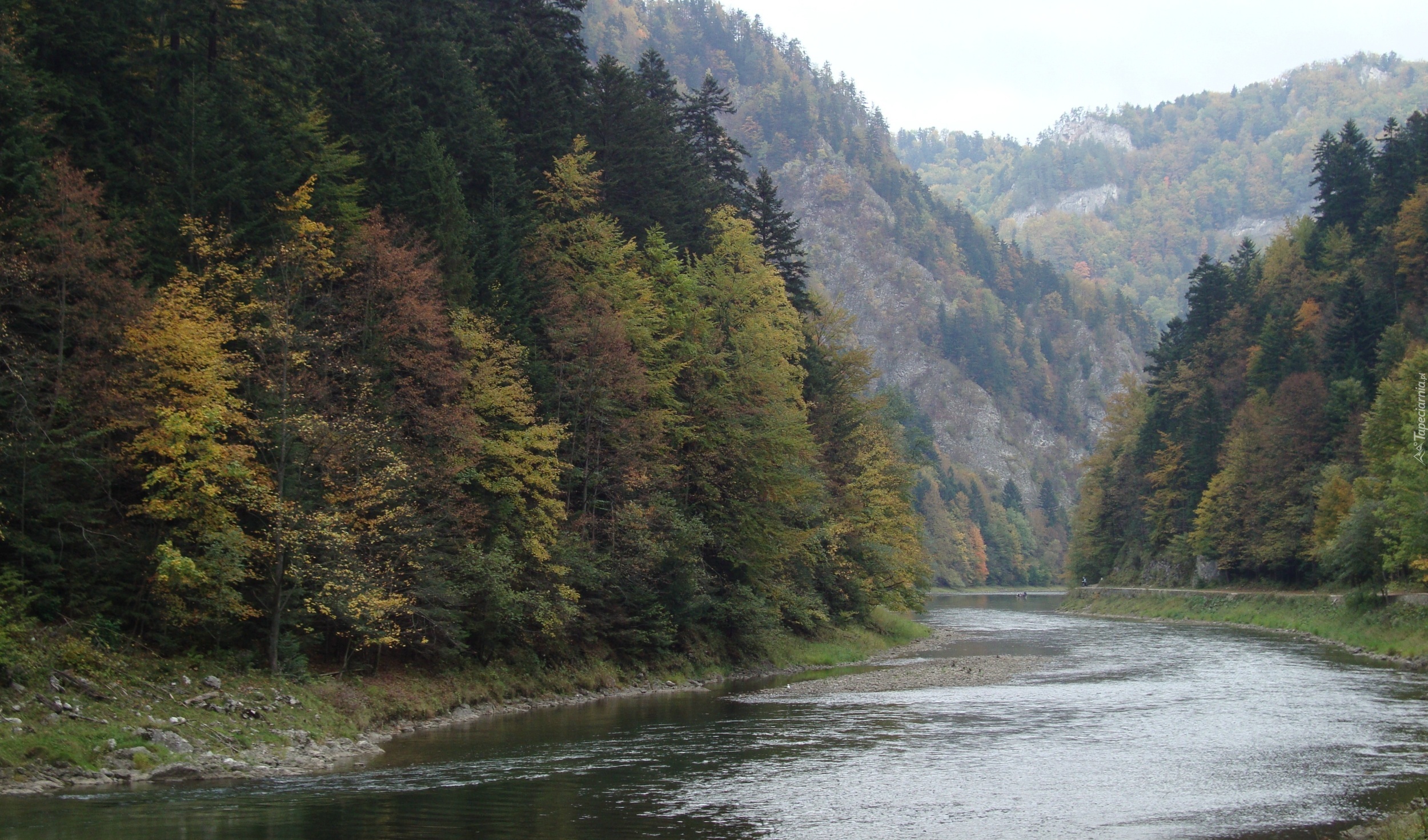 Pieniny, Góry, Przełom, Dunajca, Polska