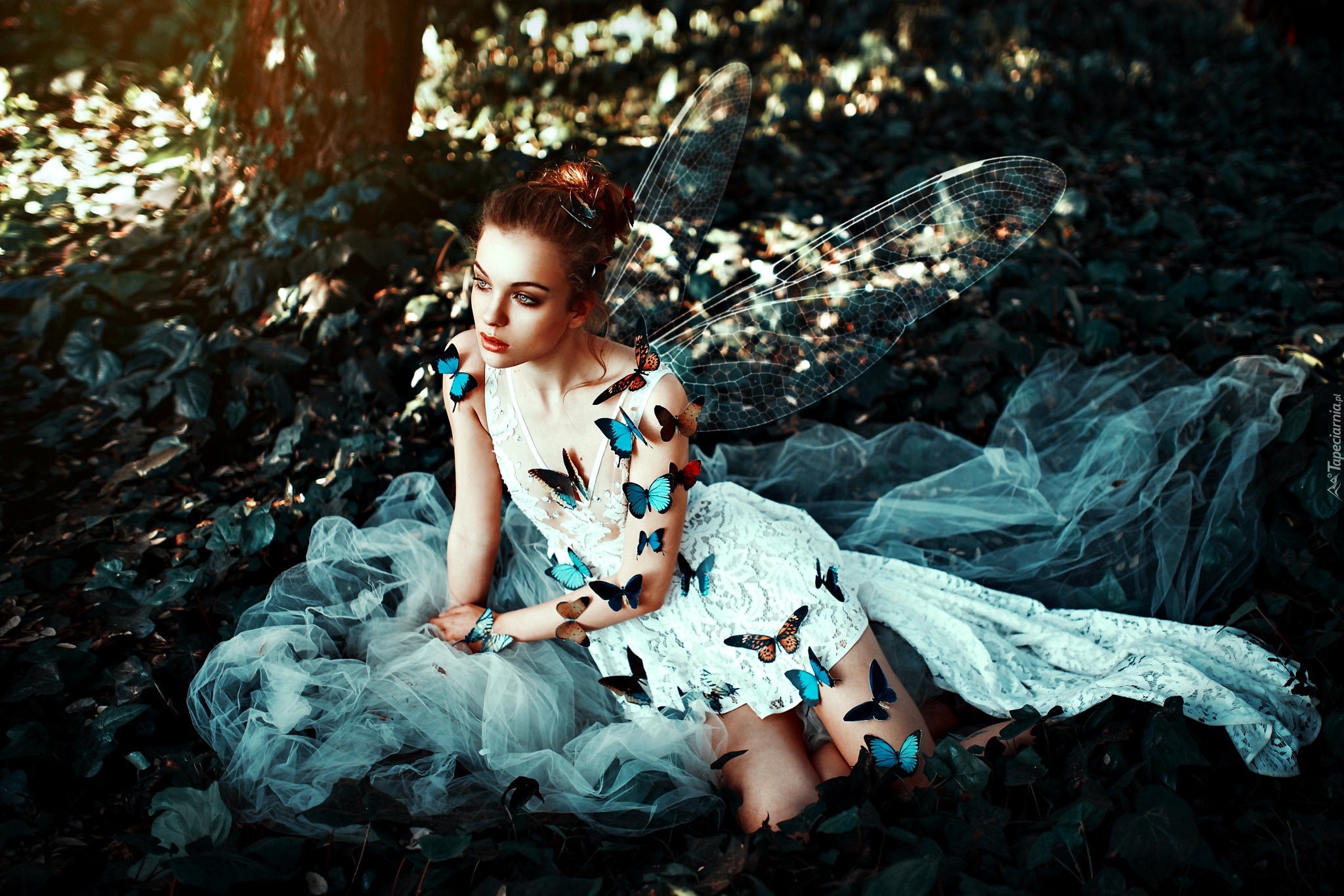 Fantasy, Elf, Kobieta, Motyle