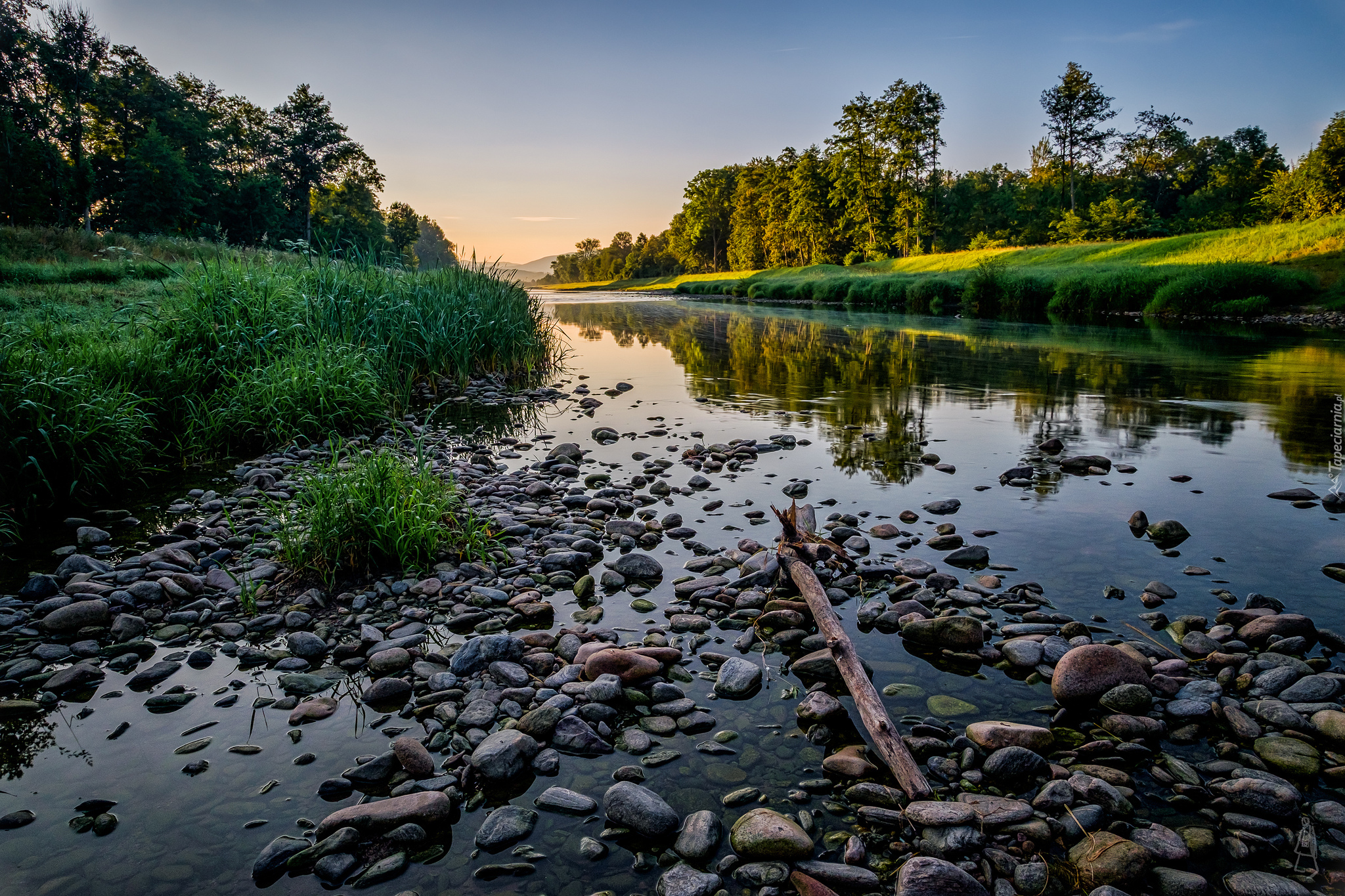 Rzeka, Drzewa, Kamienie