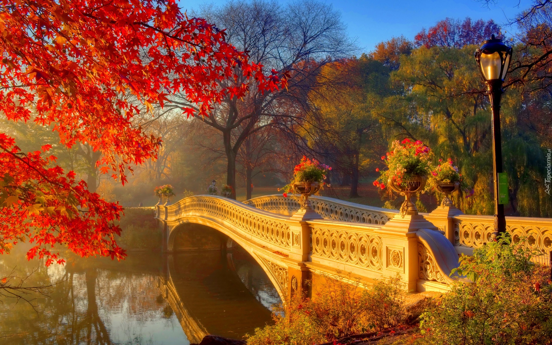 Jesień, Most, Rzeka, Drzewa, Latarnia