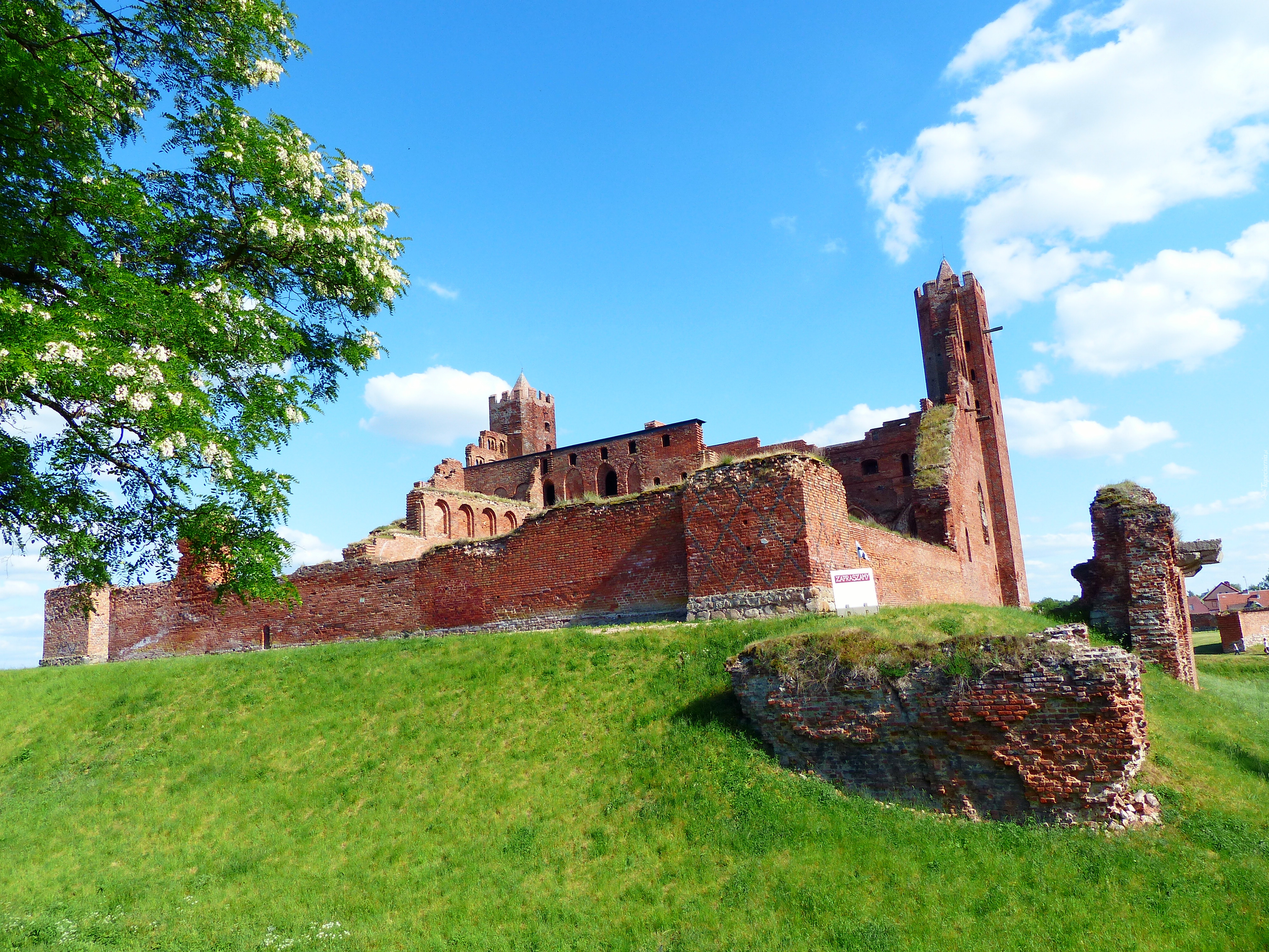 Budowle, Zamek, Radzyń