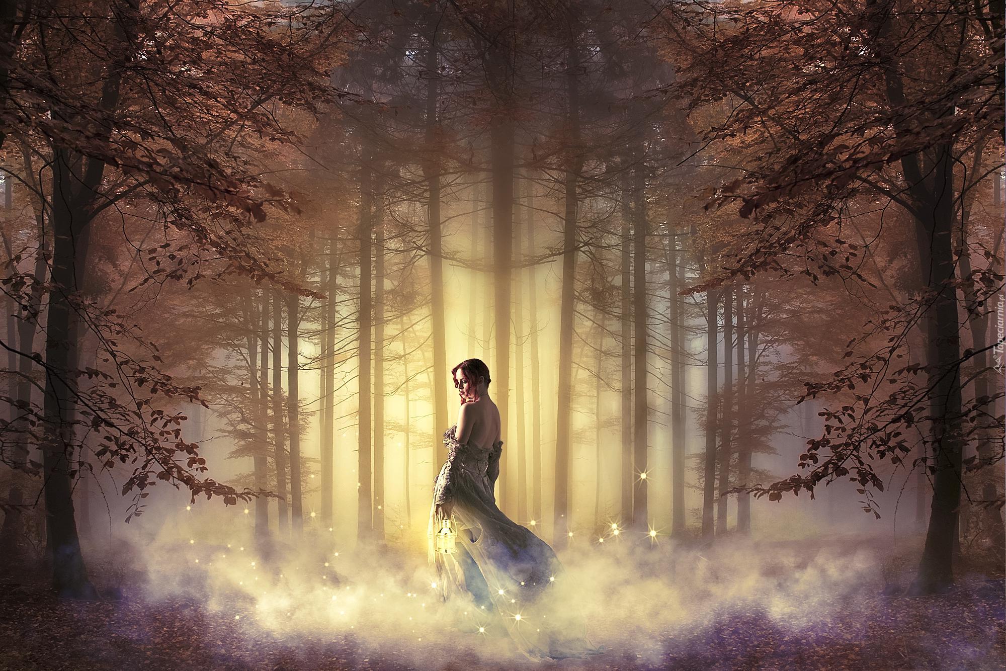Las, Kobieta, Mgła, Przebijające, Światło