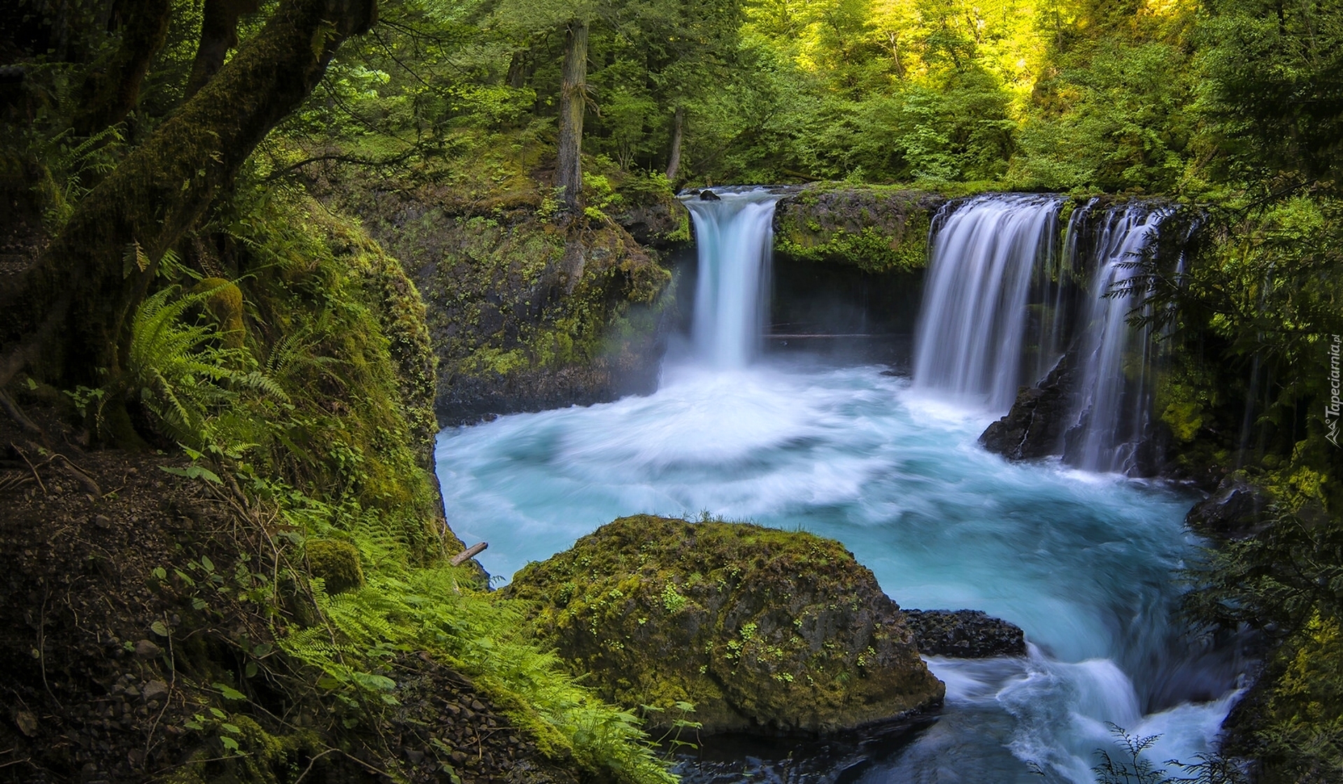 Rzeka White Salmon River, Wodospad Spirit Falls, Drzewa, Krzewy, Skały, Jesień, Oregon, Stany Zjednoczone