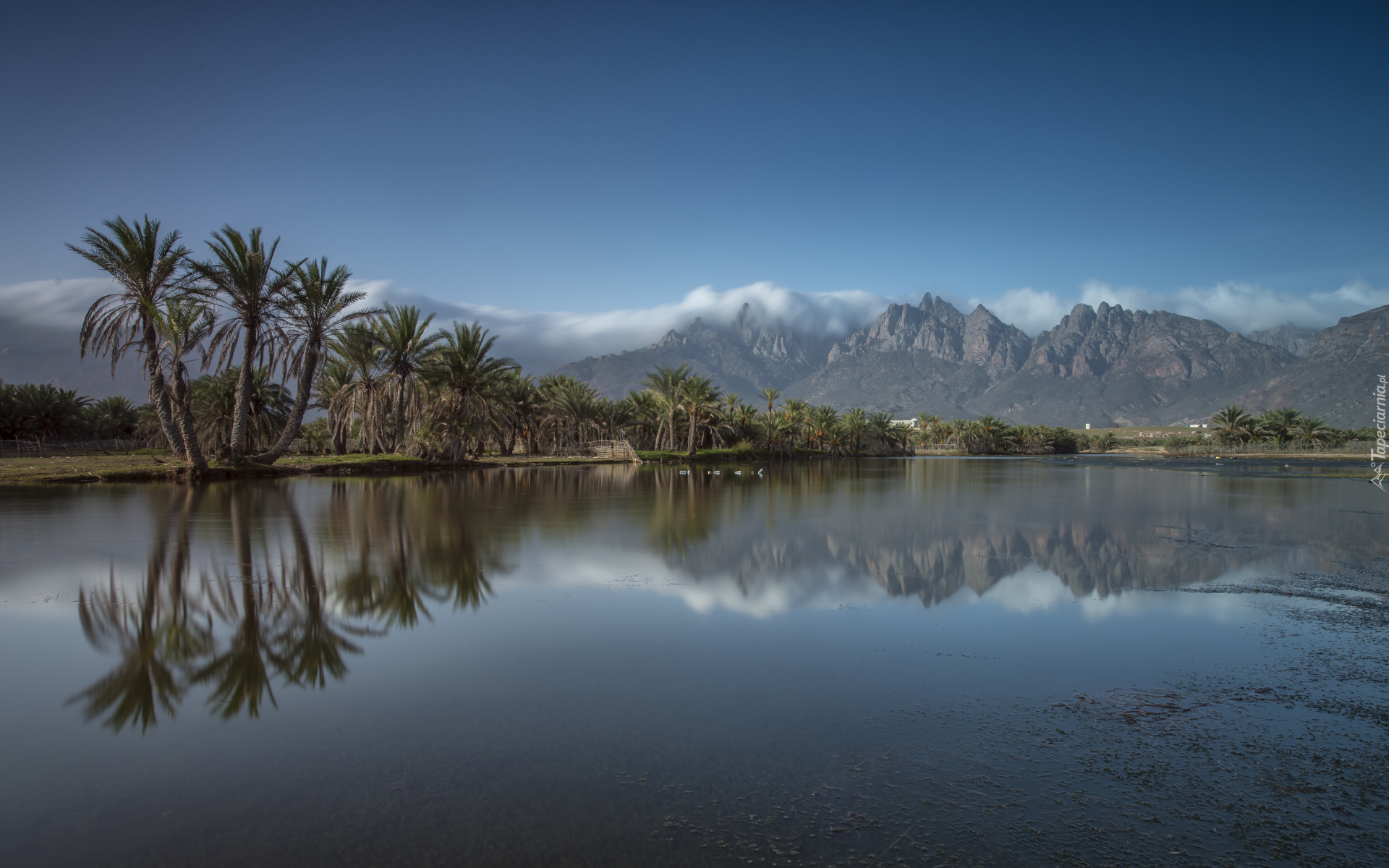 Góry, Jezioro, Palmy, Jemen