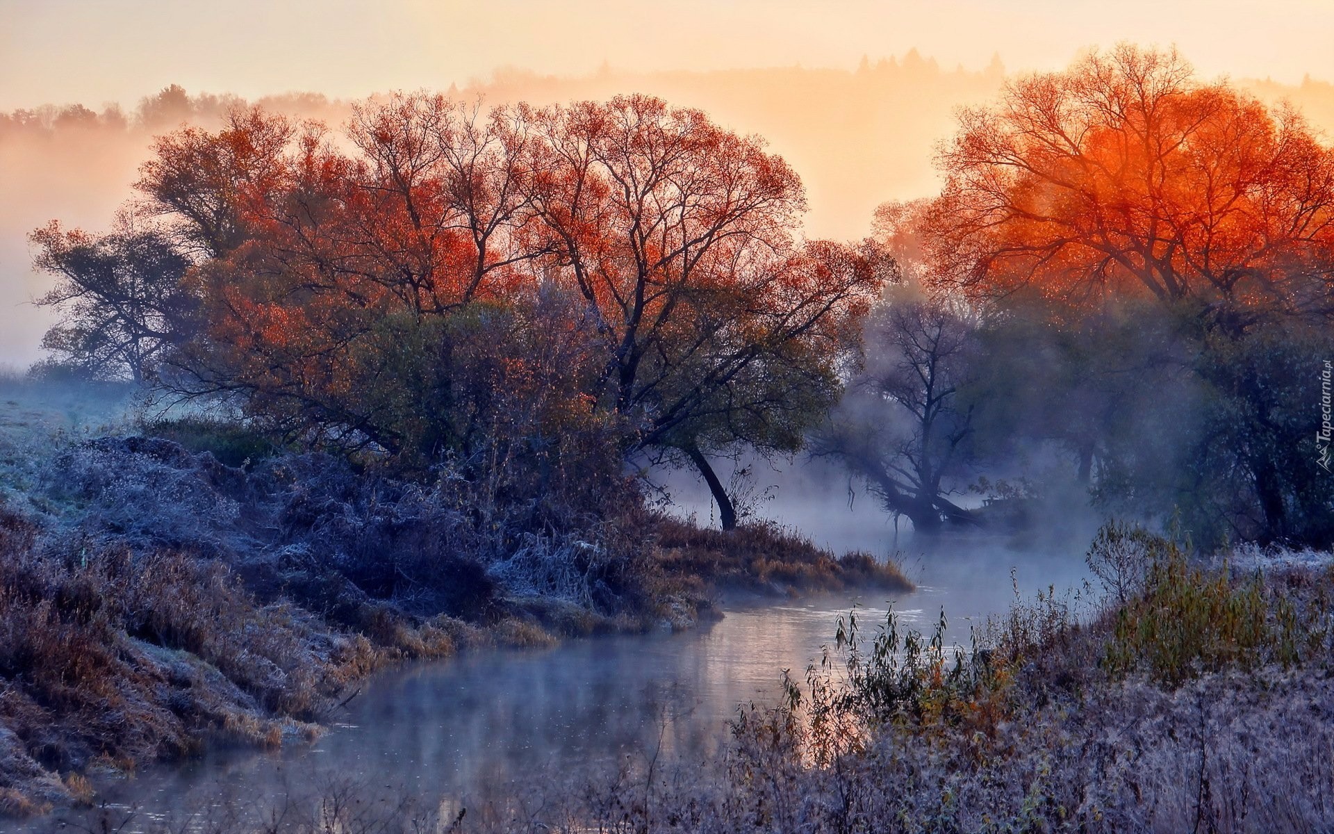 Mgła, Rzeka