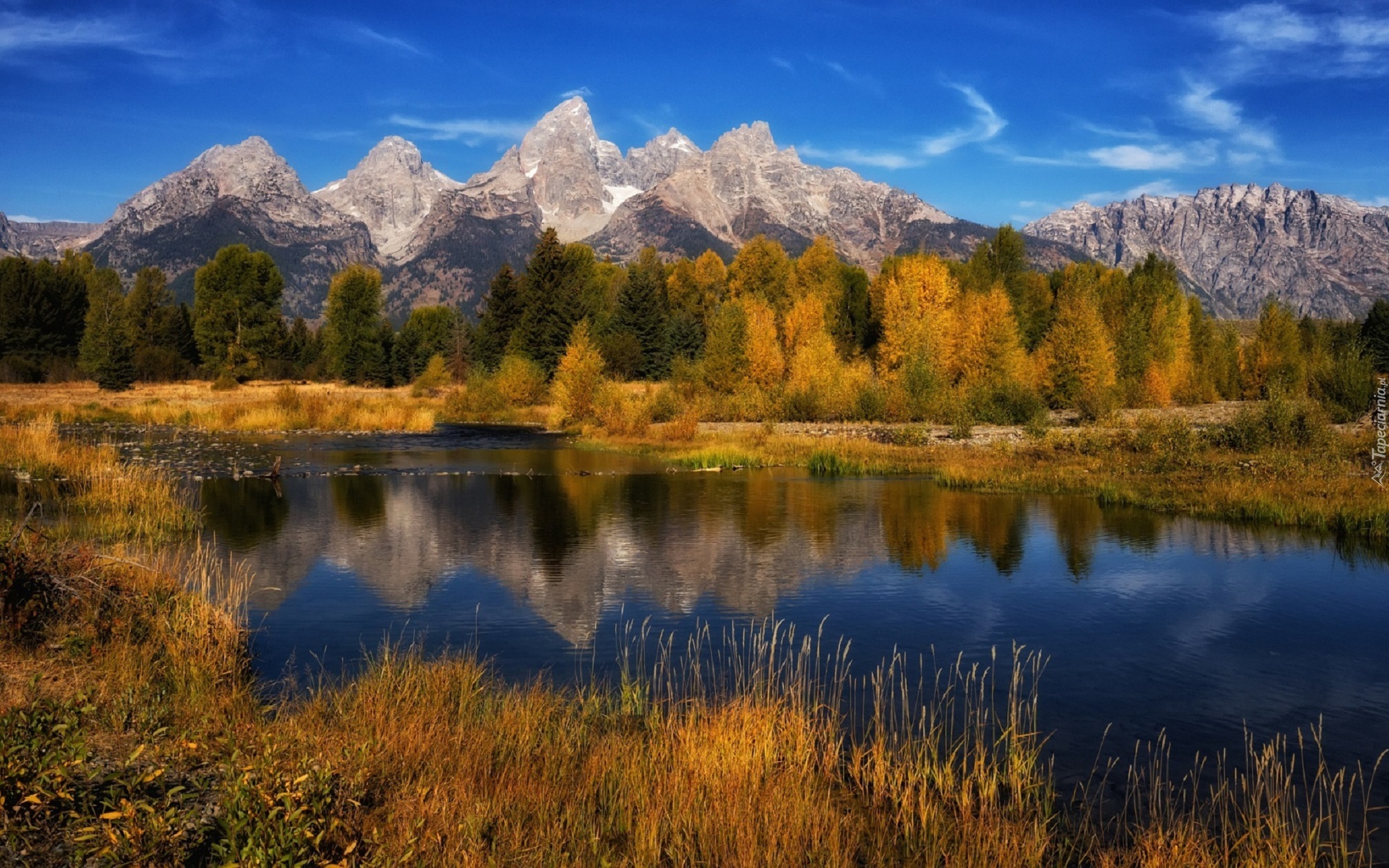 Jesień, Rzeka, Snake River, Góry, Teton Range, Las, Drzewa, Park Narodowy Grand Teton, Wyoming, Stany Zjednoczone