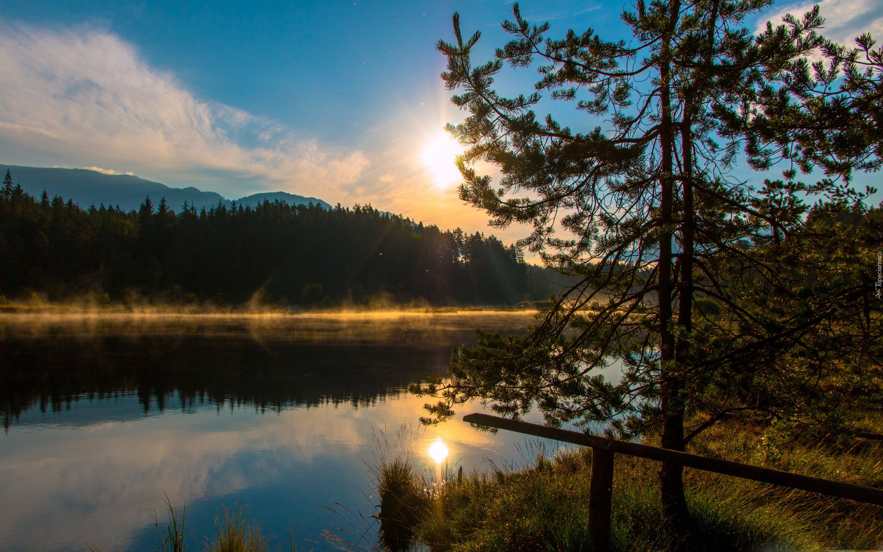 Jezioro, Góry, Zachód słońca, Drzewo