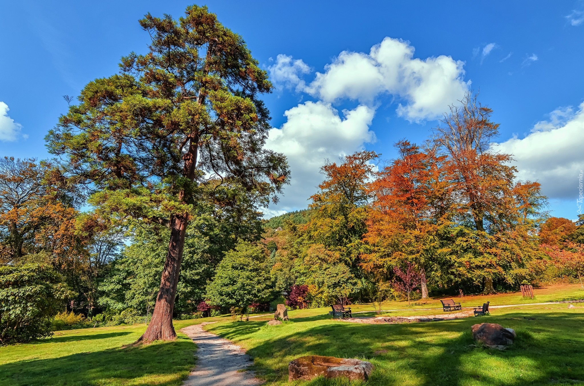 Jesień, Park, Drzewa, Ścieżka