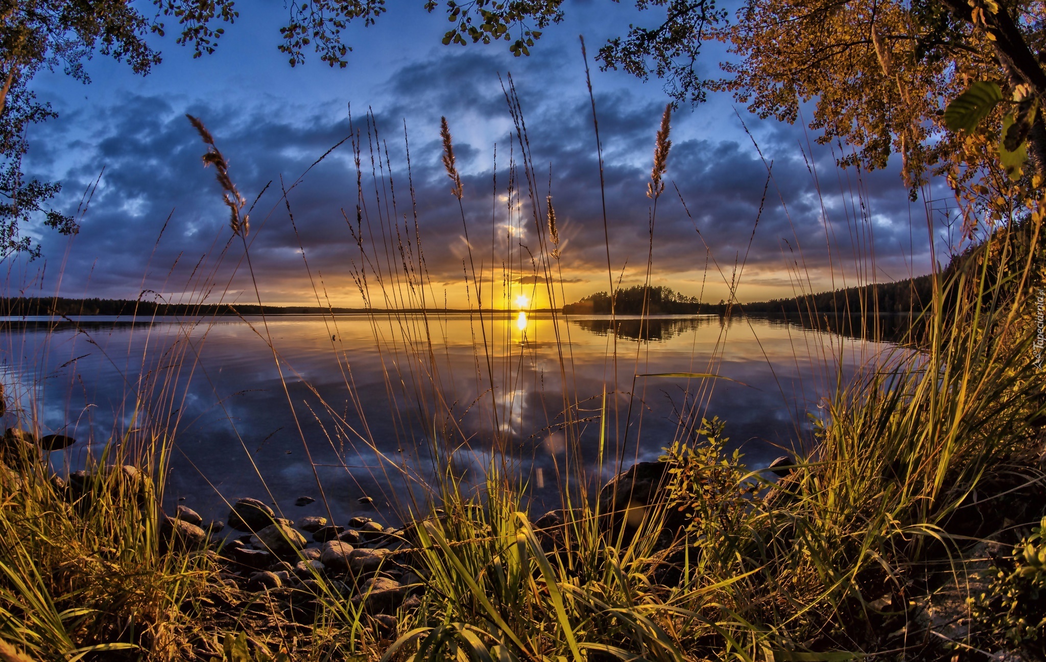 Jezioro, Szuwary, Zachód słońca