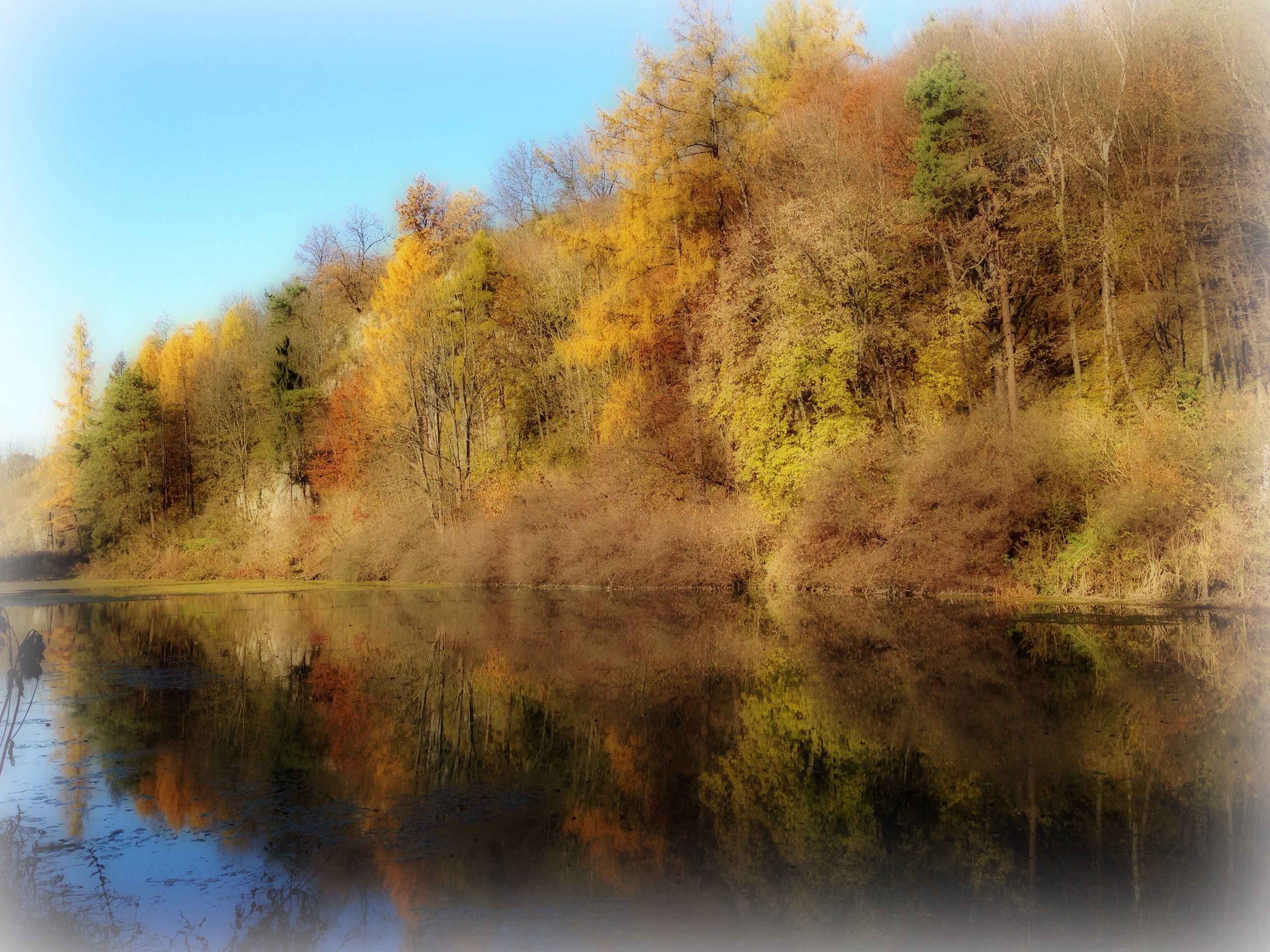 Jezioro, Jesień, Kolorowe, Drzewa, Odbicie