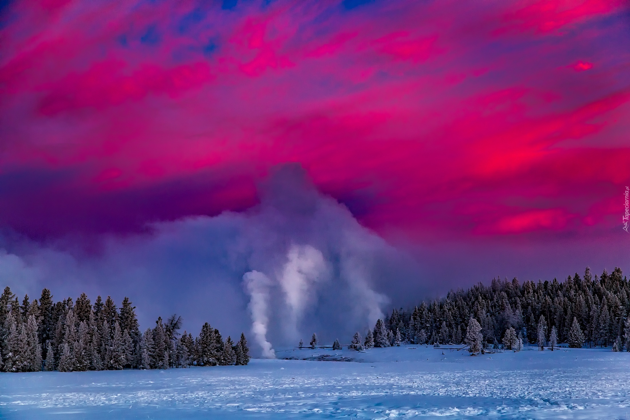 Stany Zjednoczone, Park Narodowy Yellowstone,  Gejzery, Zima