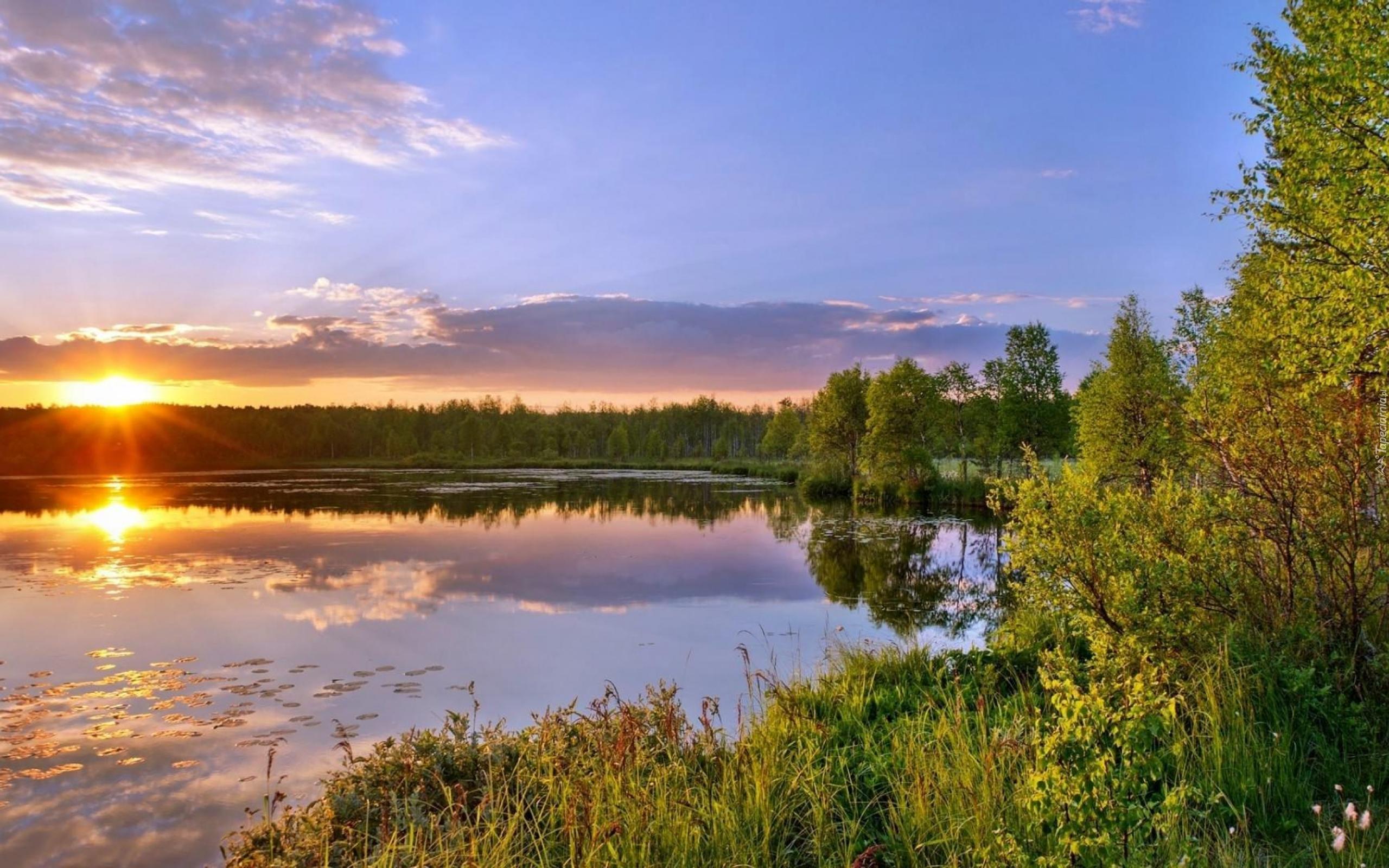Jezioro, Las, Zachód słońca