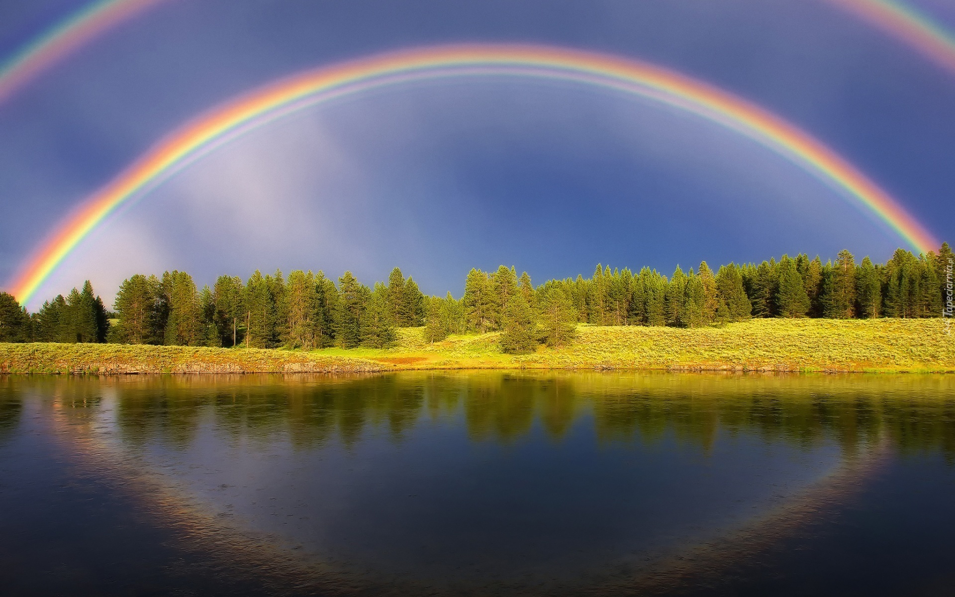 Jezioro, Las, Podwójna, Tęcza, Odbicie