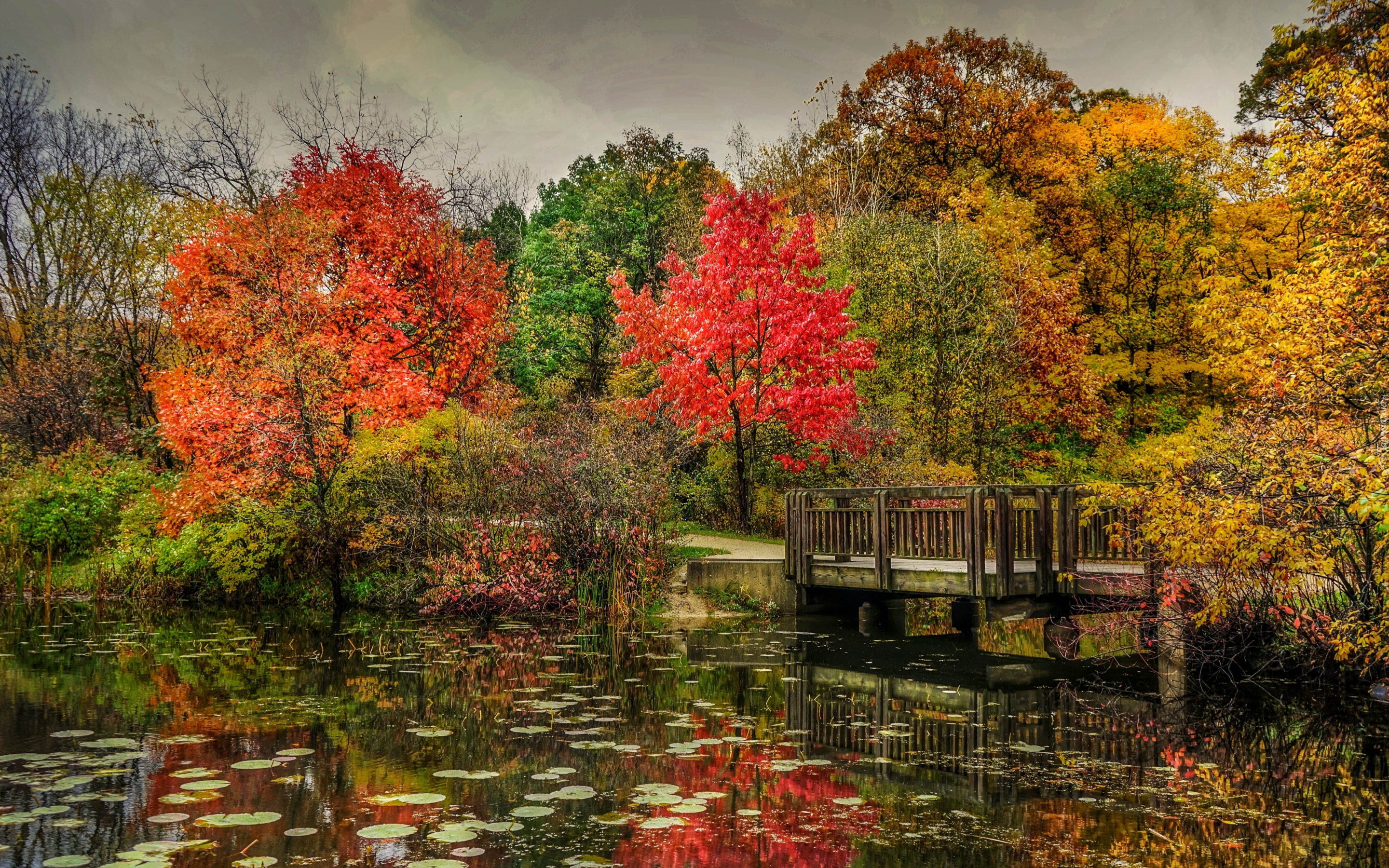 Jesień, Park, Staw, Drzewa, Liście