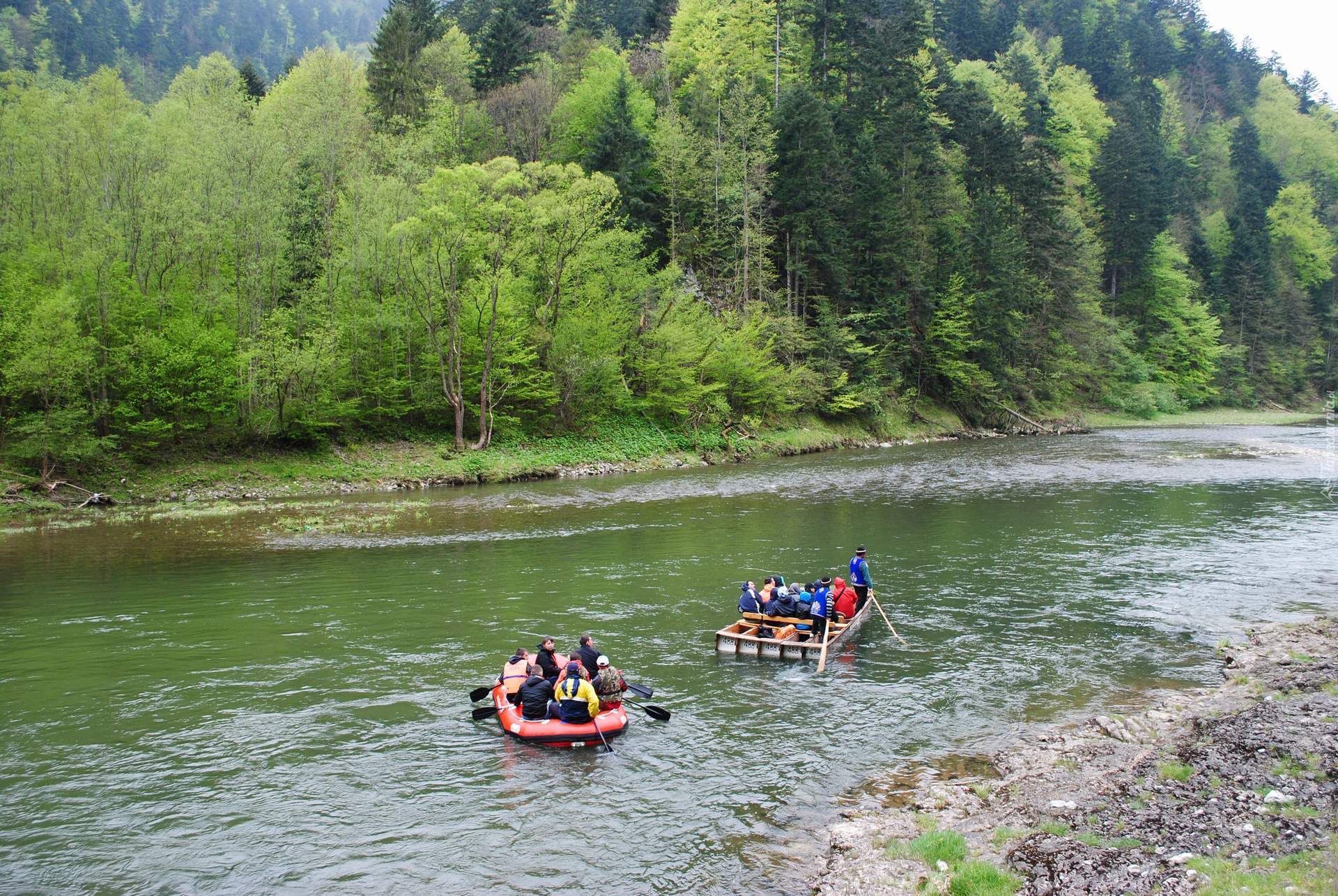 Pieniny, Spływ, Kajakowy, Rzeka, Dunajec